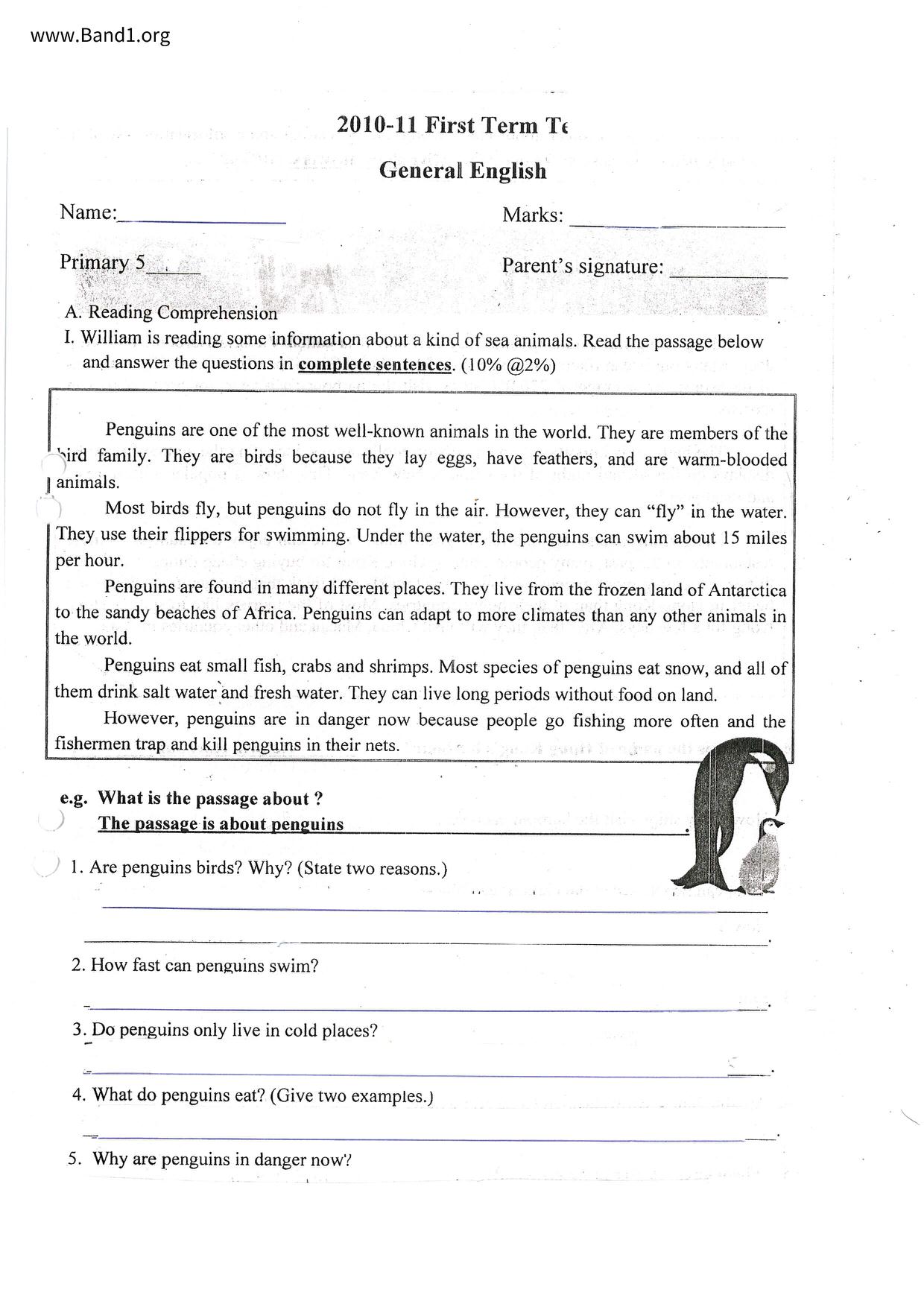 P5English試卷