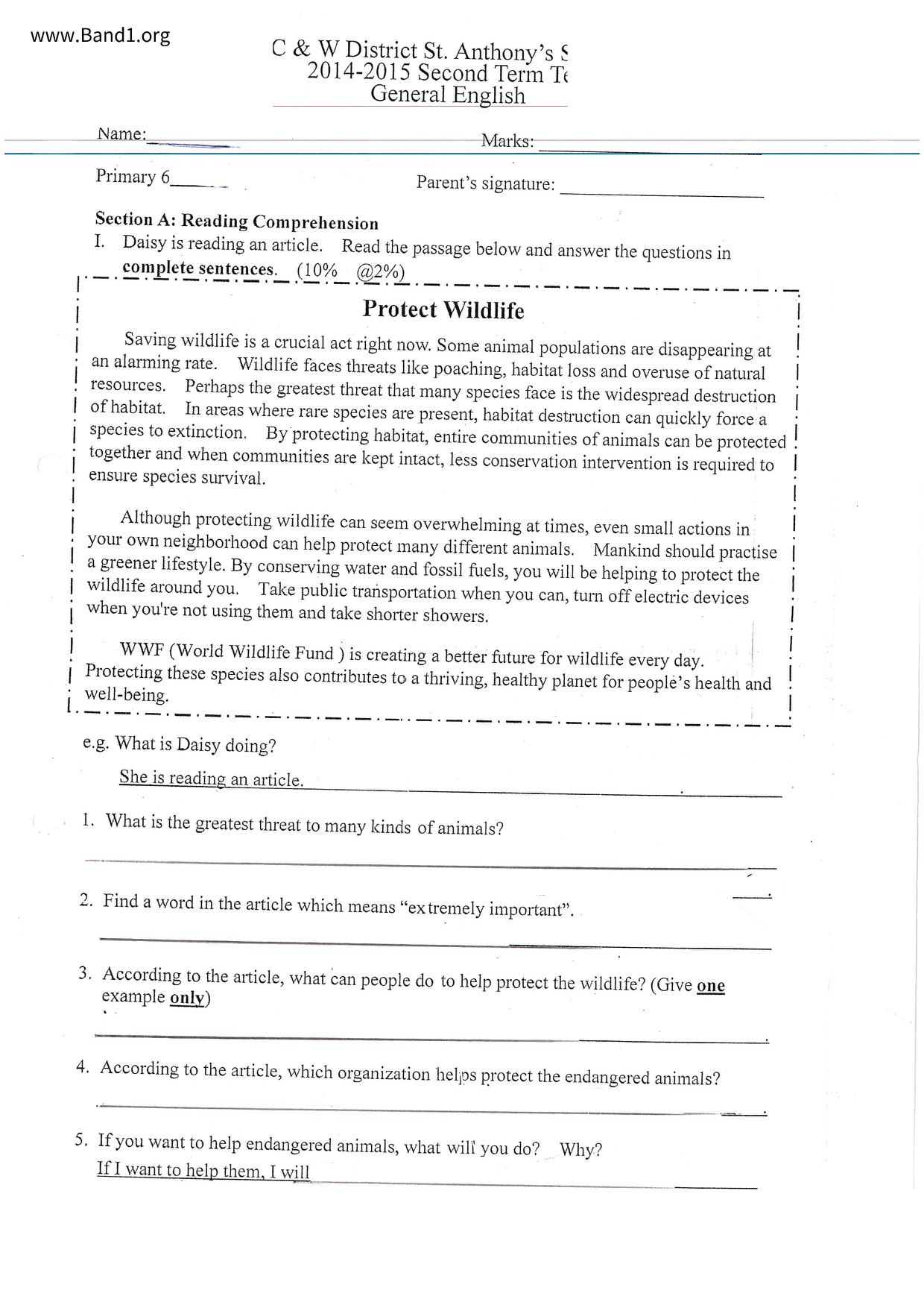 P6English試卷