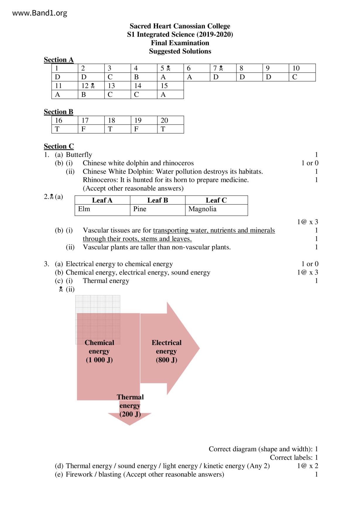 F1Science試卷