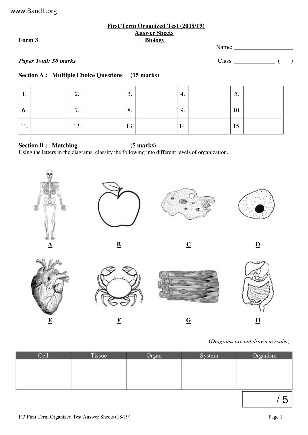 F3Biology試卷