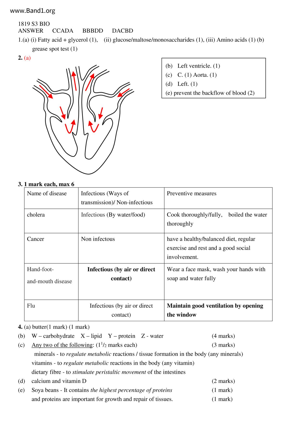 F3Biology試卷