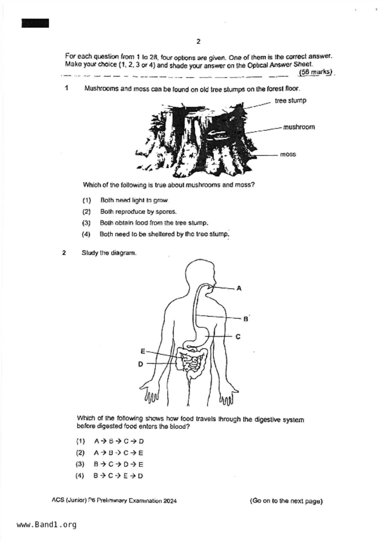 P6Science試卷