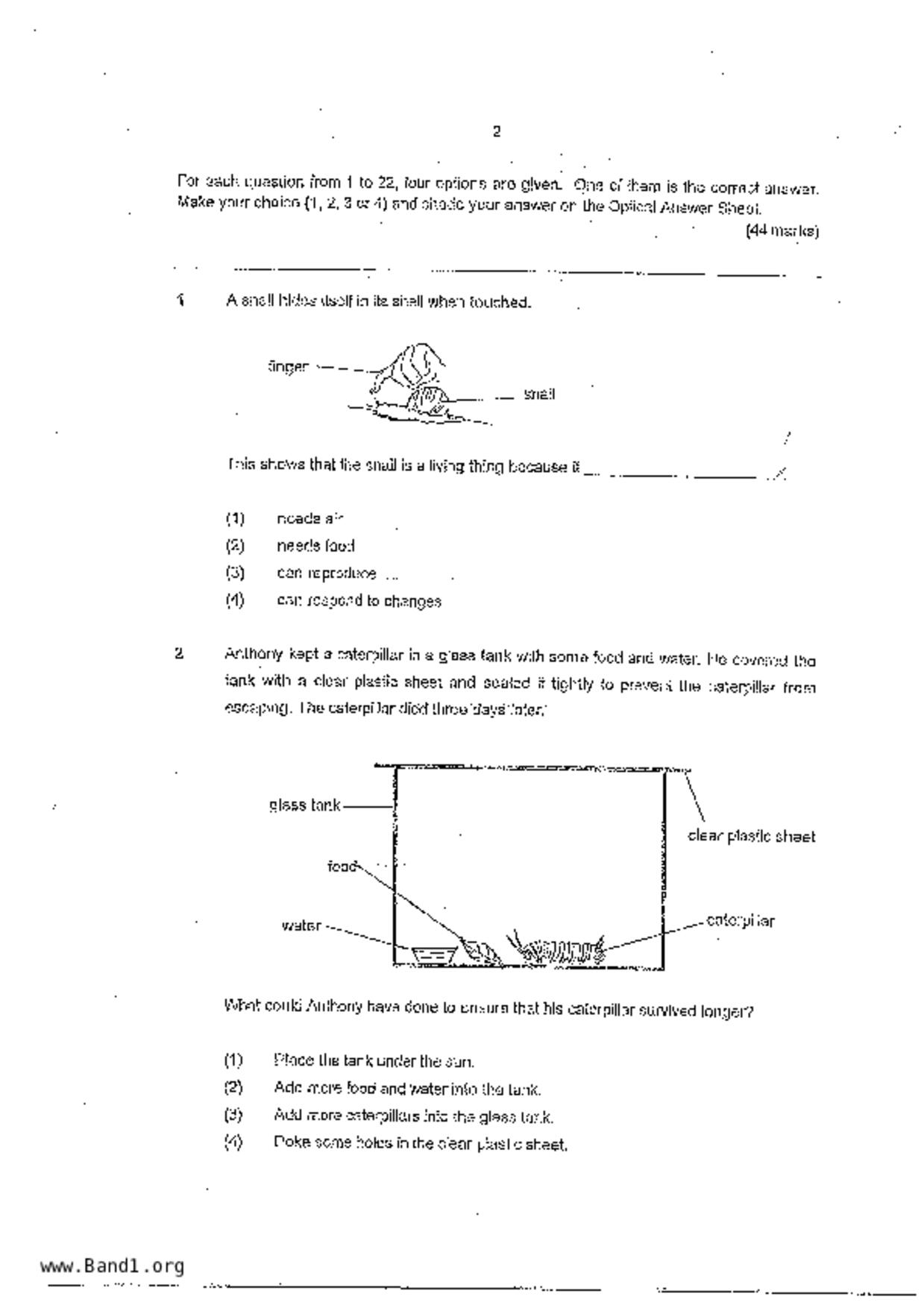 P3Science試卷