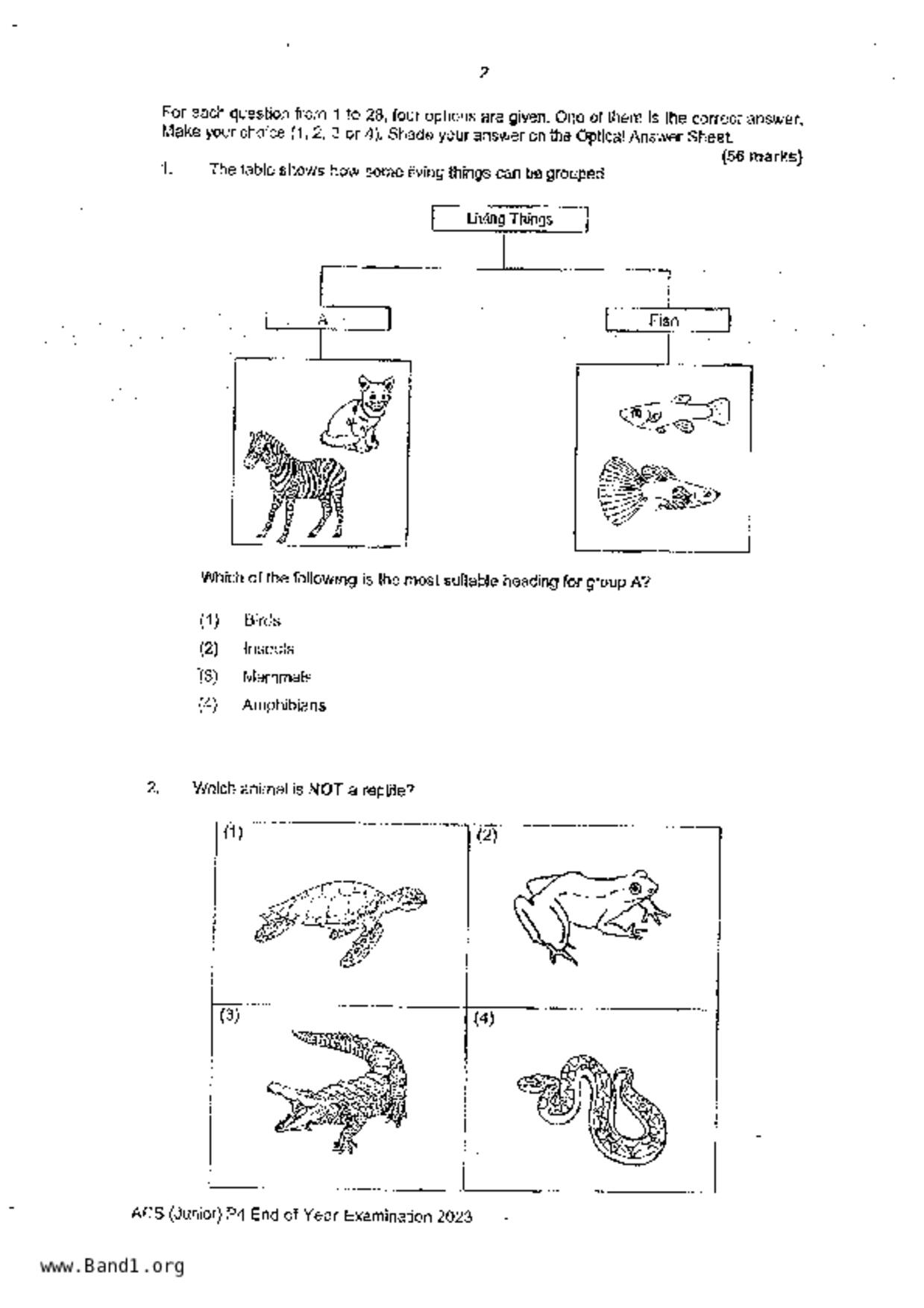 P4Science試卷