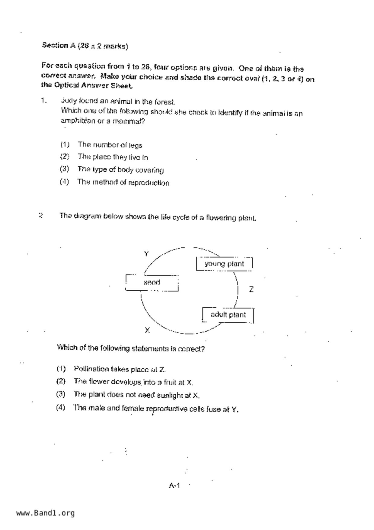 P6Science試卷