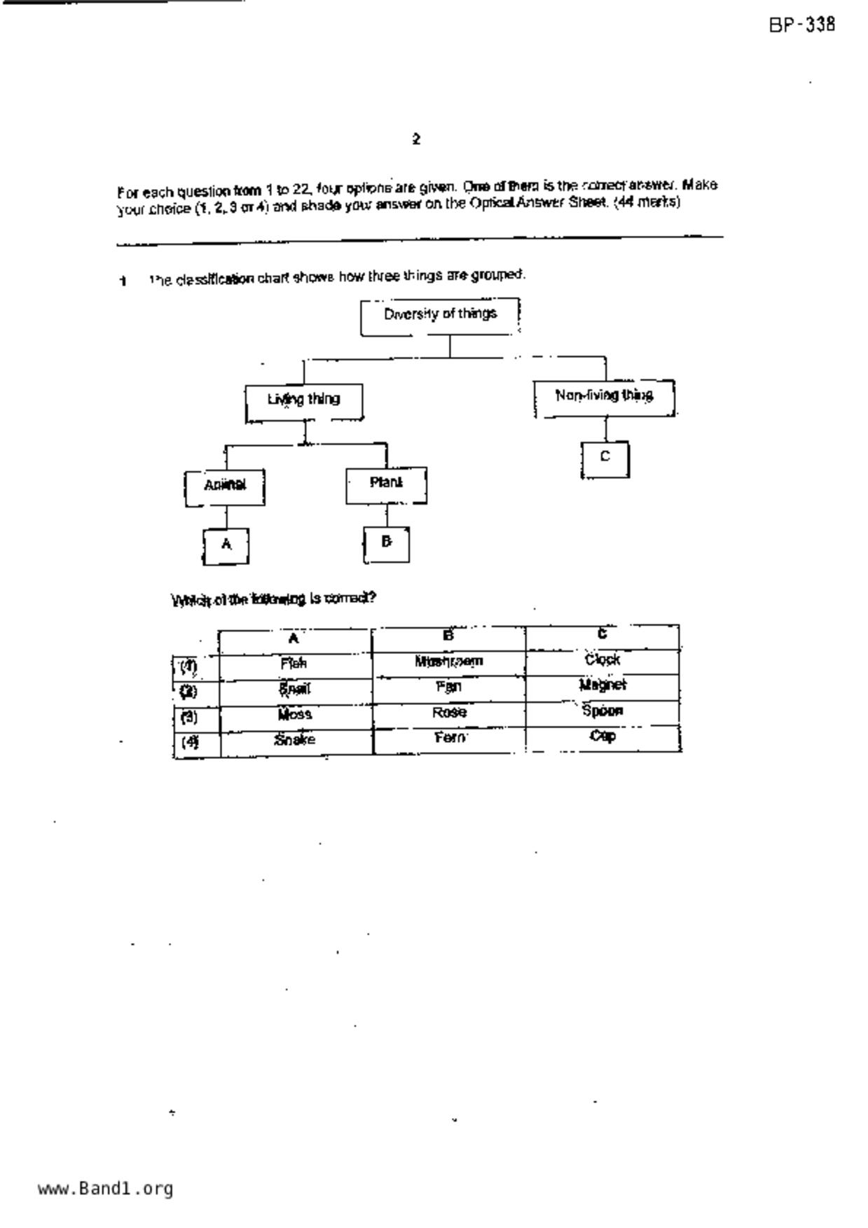 P3Science試卷