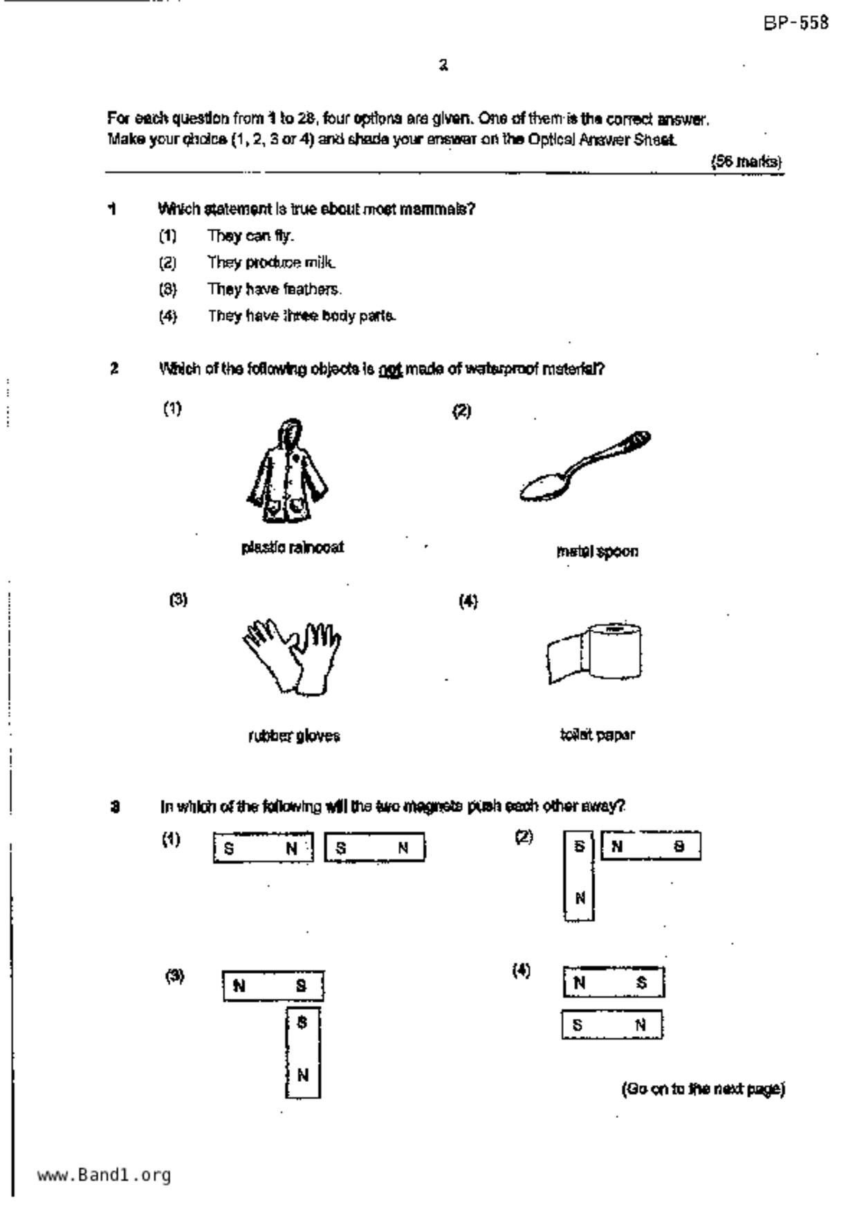 P4Science試卷