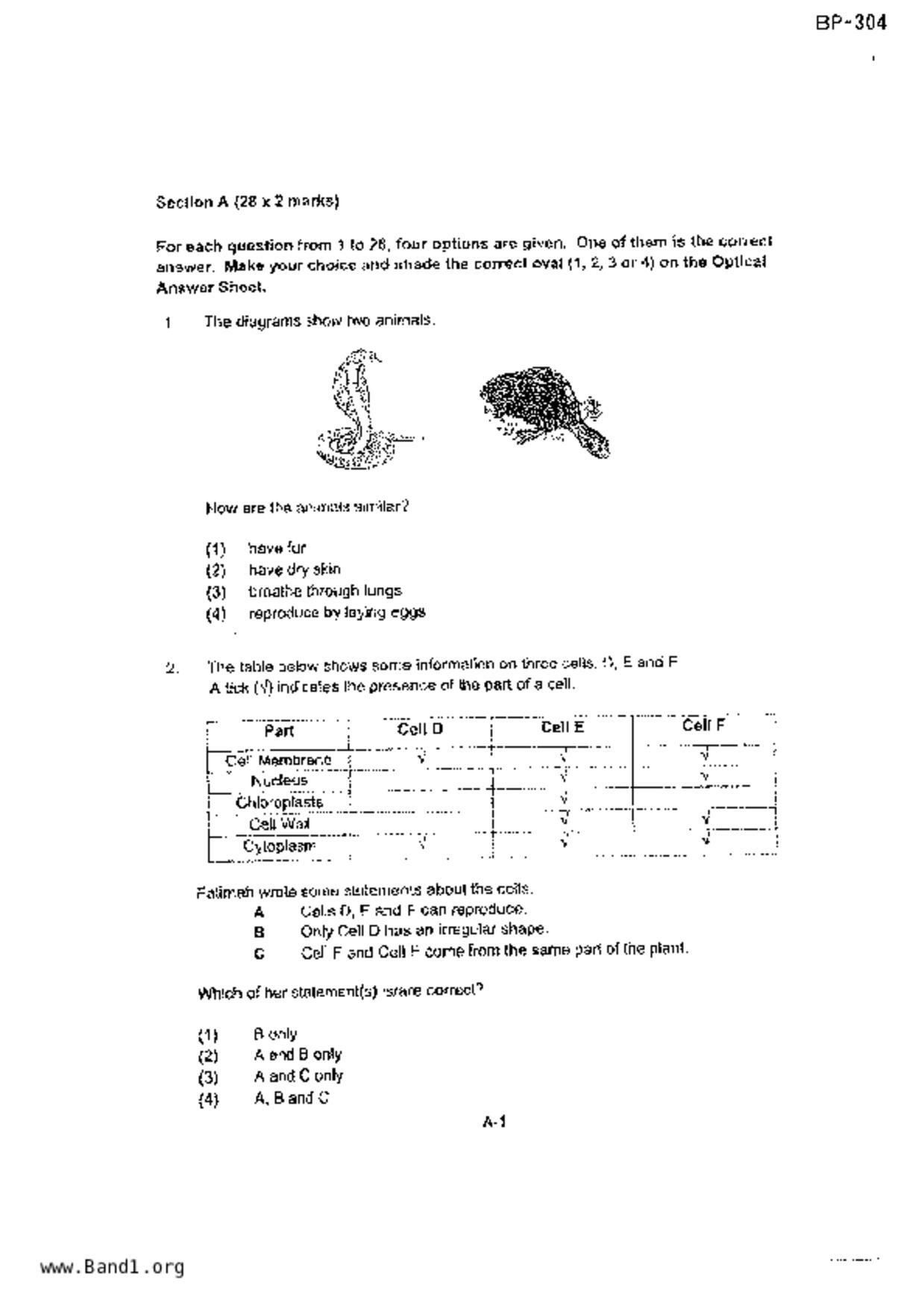 P5Science試卷