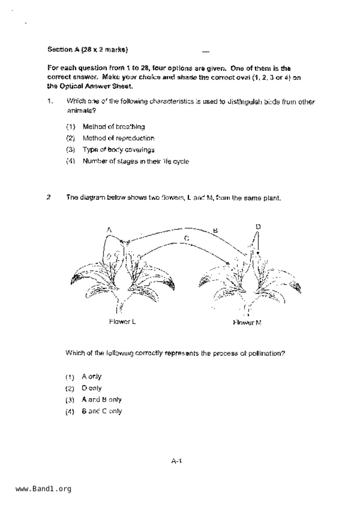 P6Science試卷