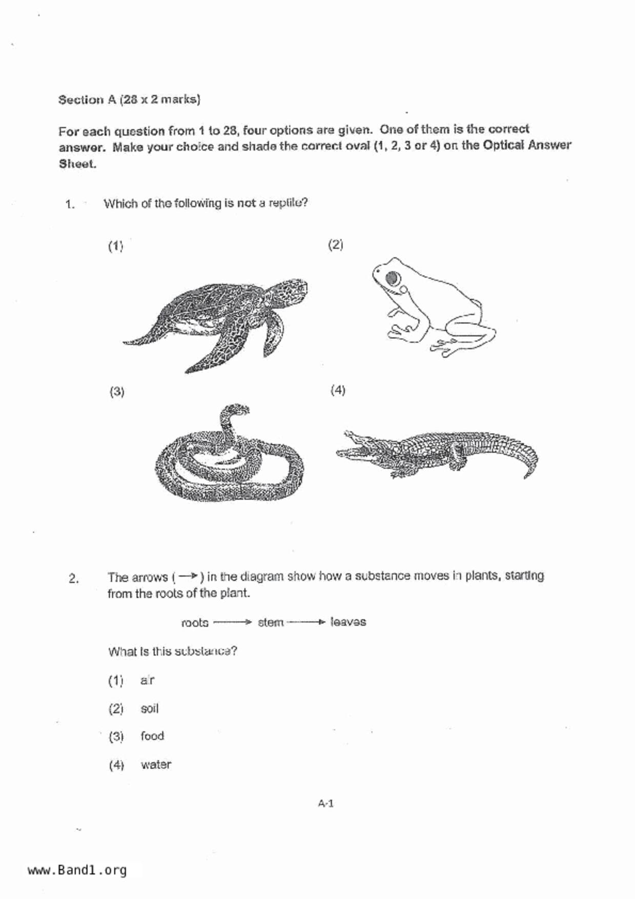 P4Science試卷