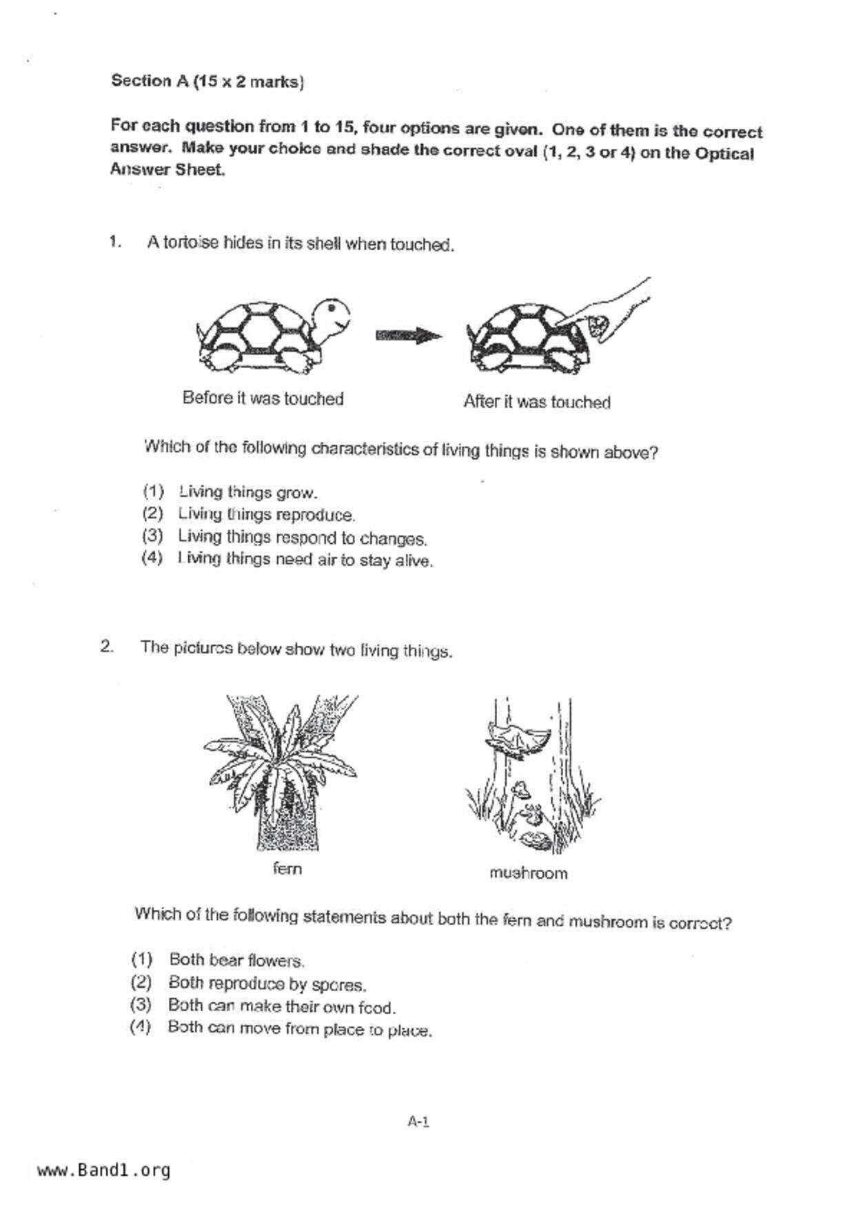 P3Science試卷