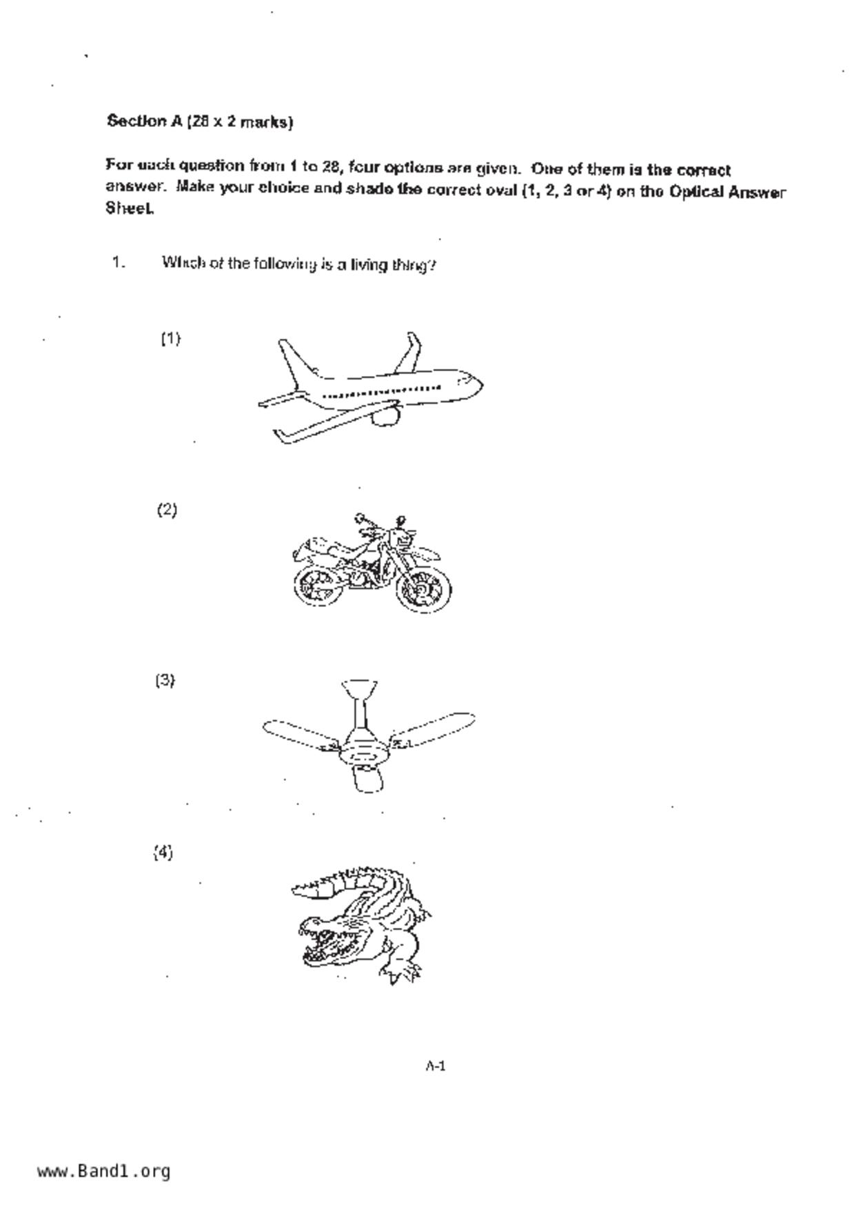 P4Science試卷