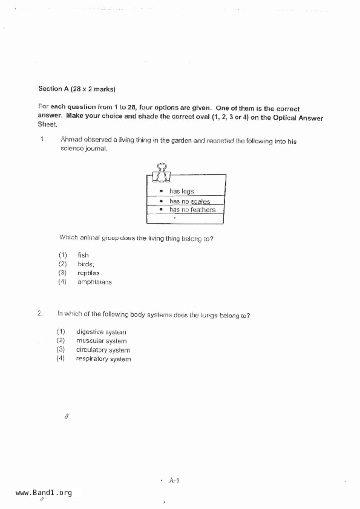 P5Science試卷