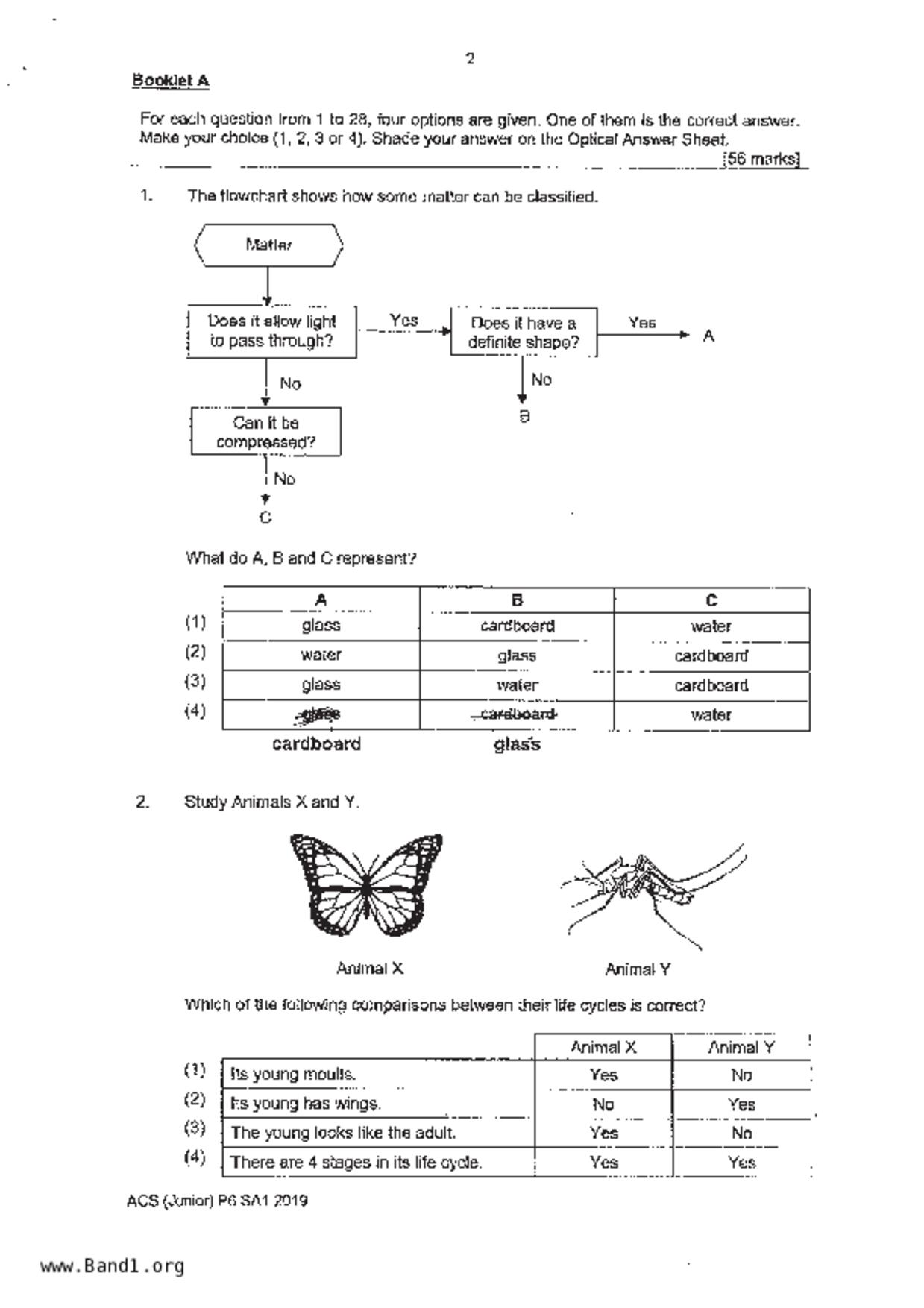 P6Science試卷