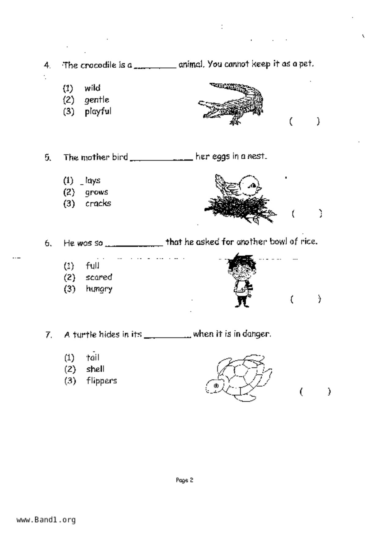 P1English試卷