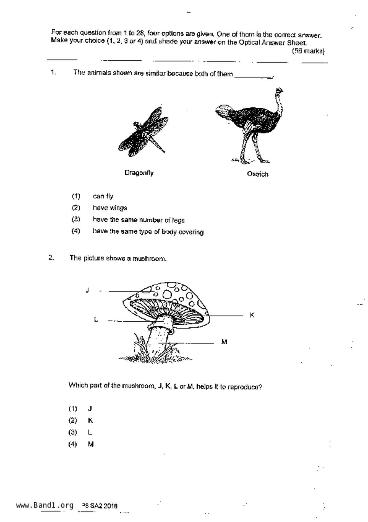 P3Science試卷