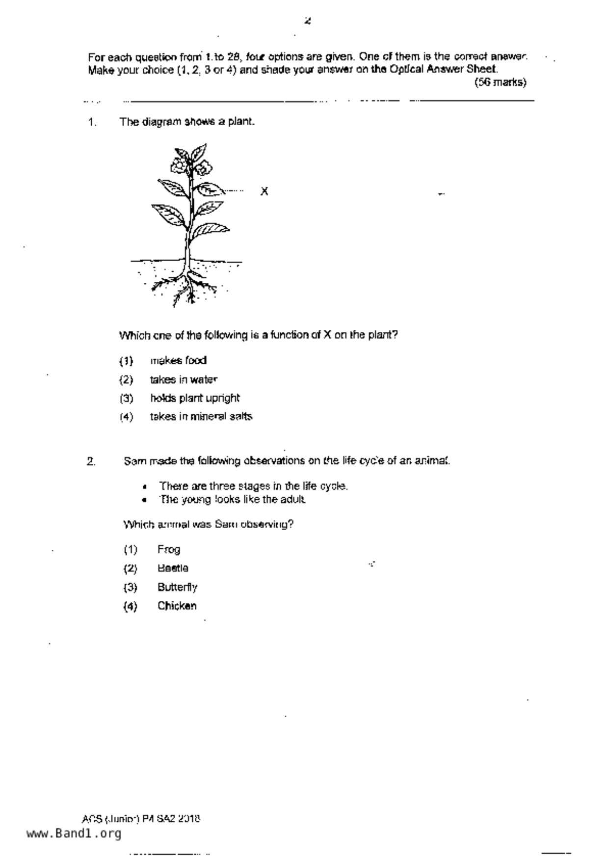 P4Science試卷