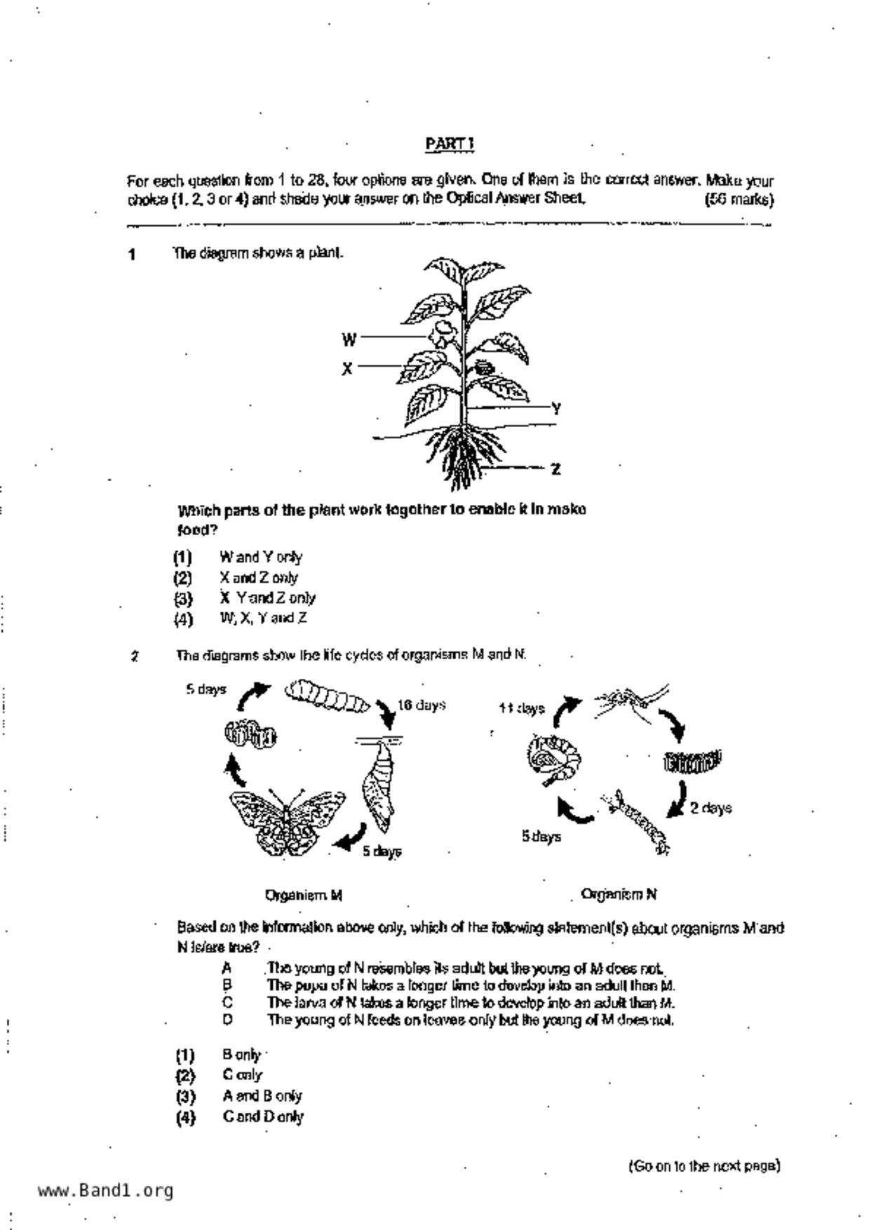 P6Science試卷
