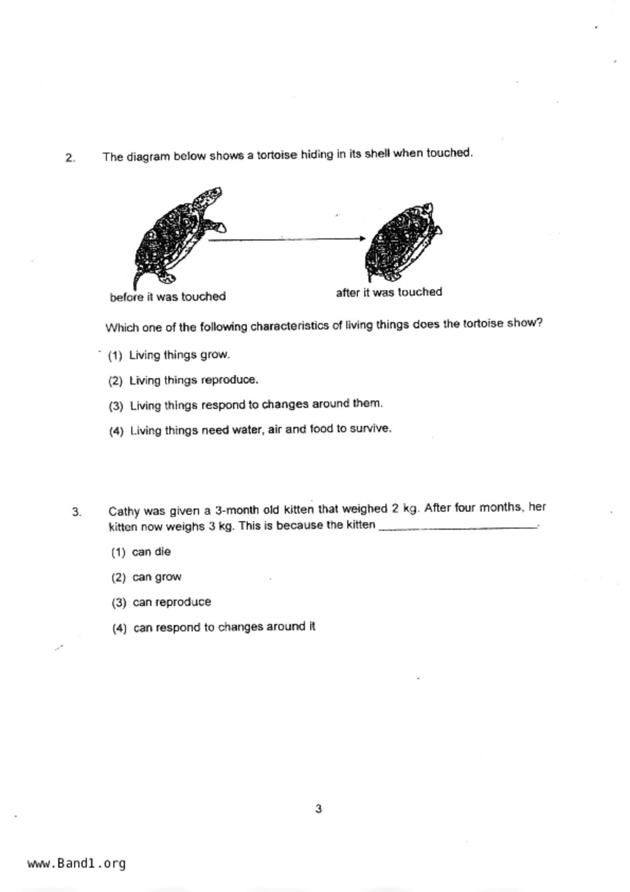 P3Science試卷