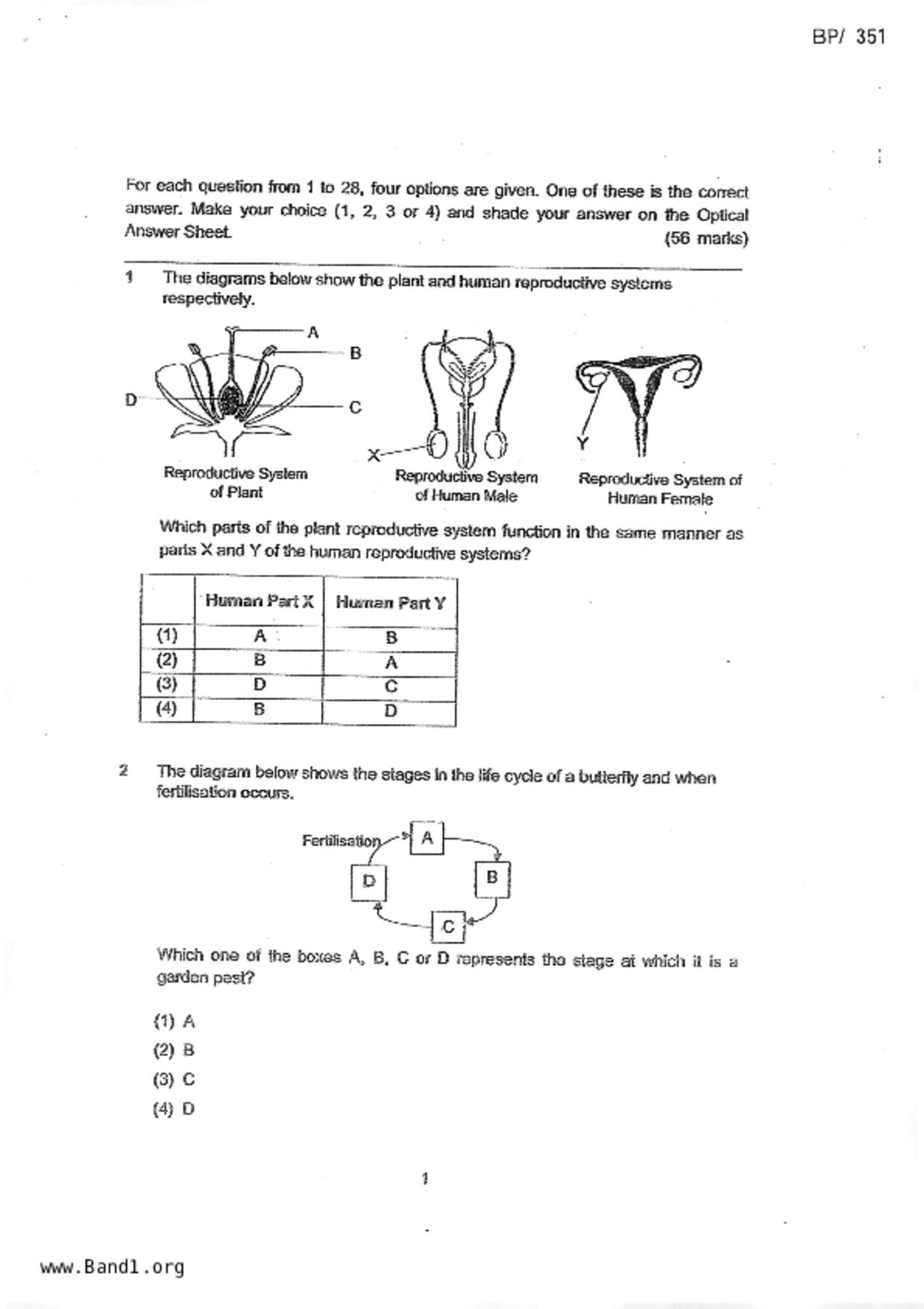 P6Science試卷