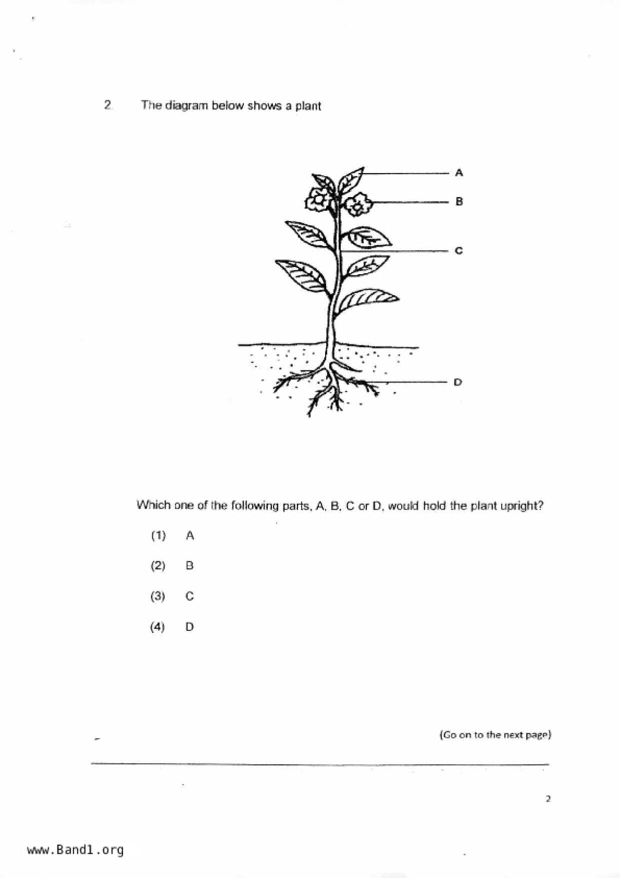 P4Science試卷