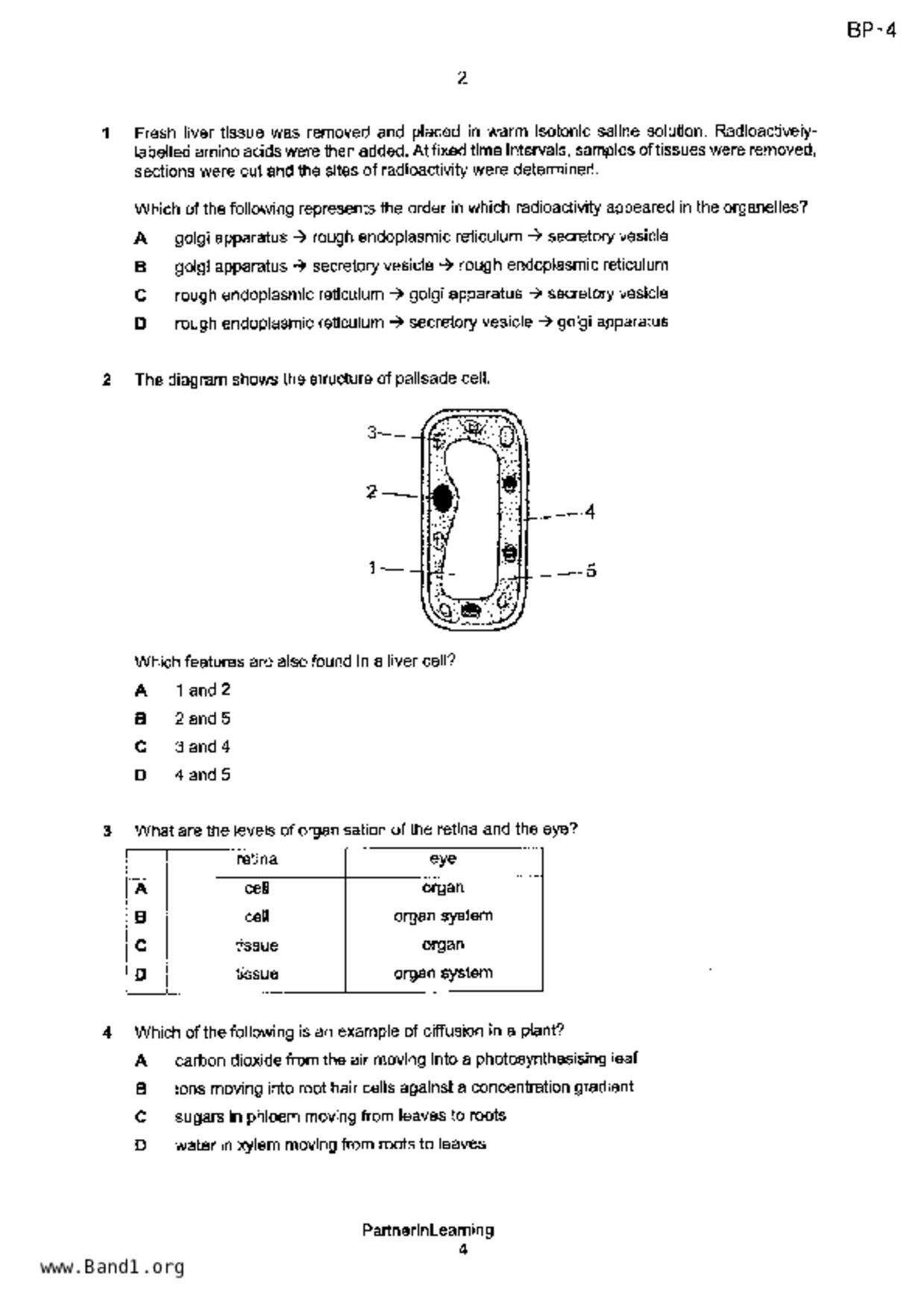 S5Pure Biology試卷