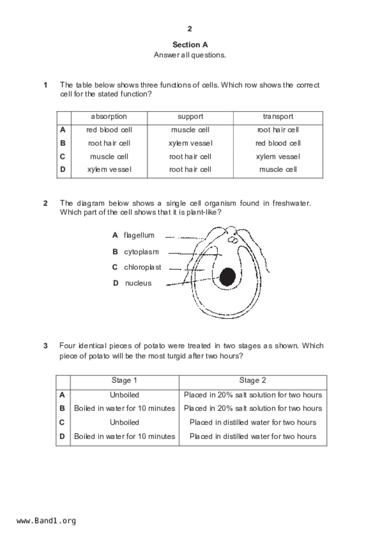 S4Science Biology試卷