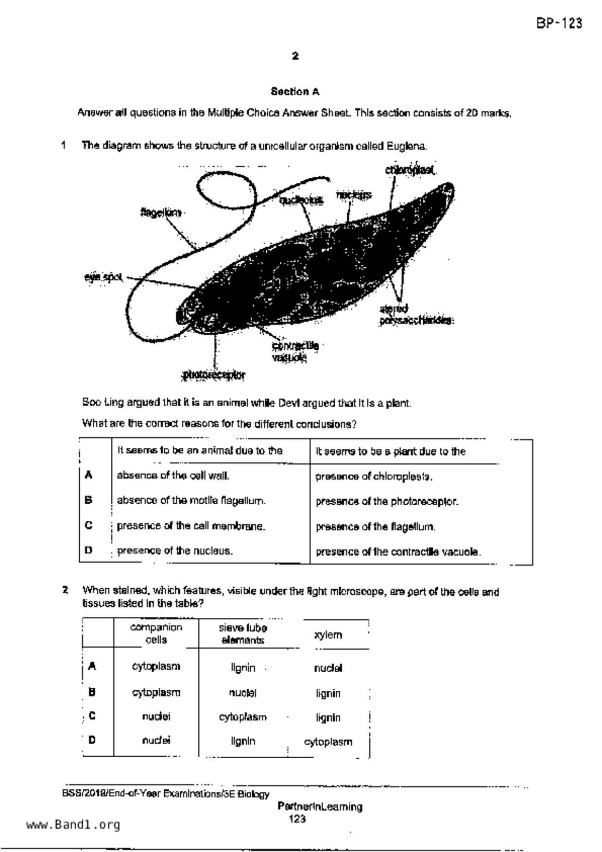 S3Pure Biology試卷