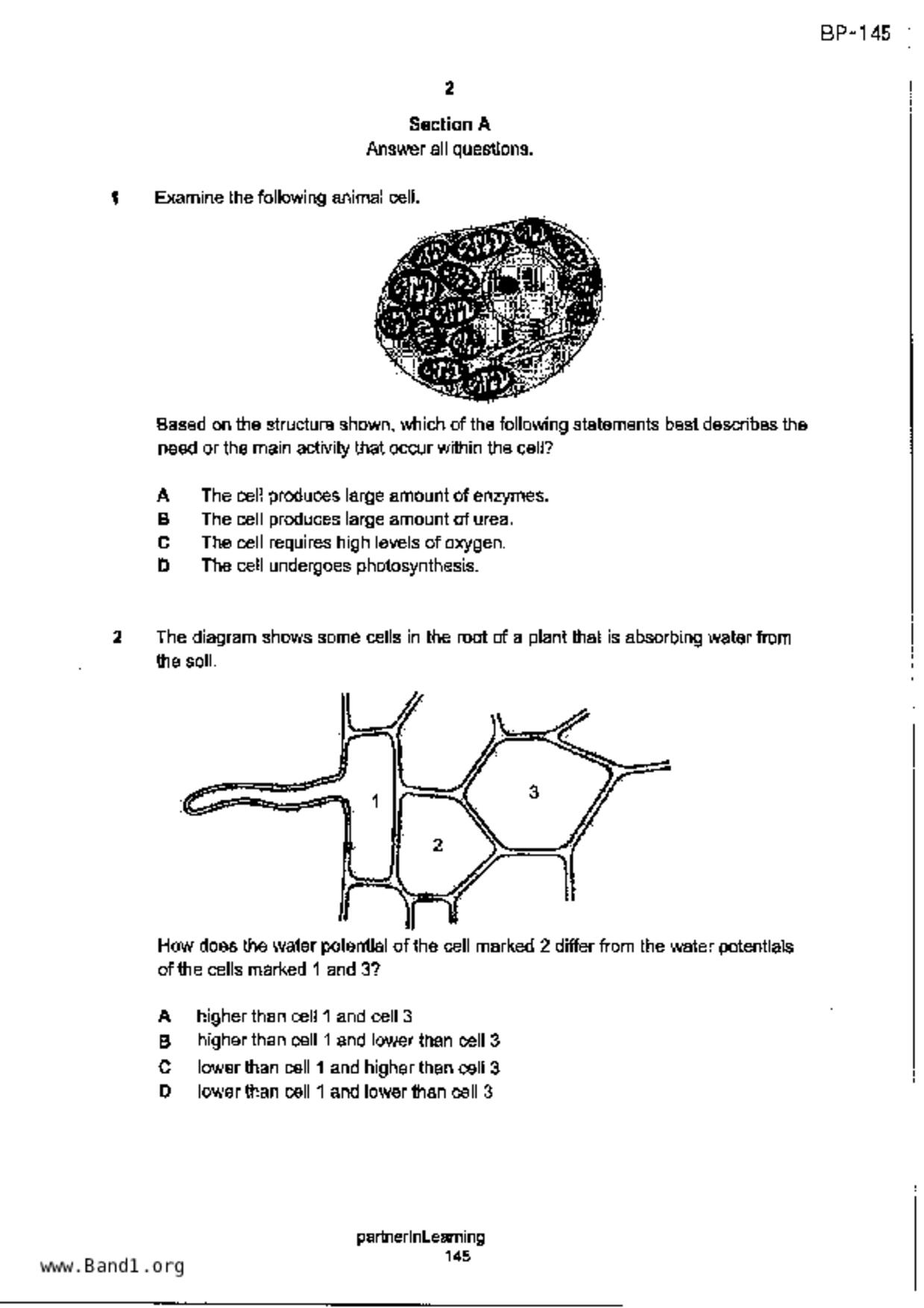 S3Science Biology試卷