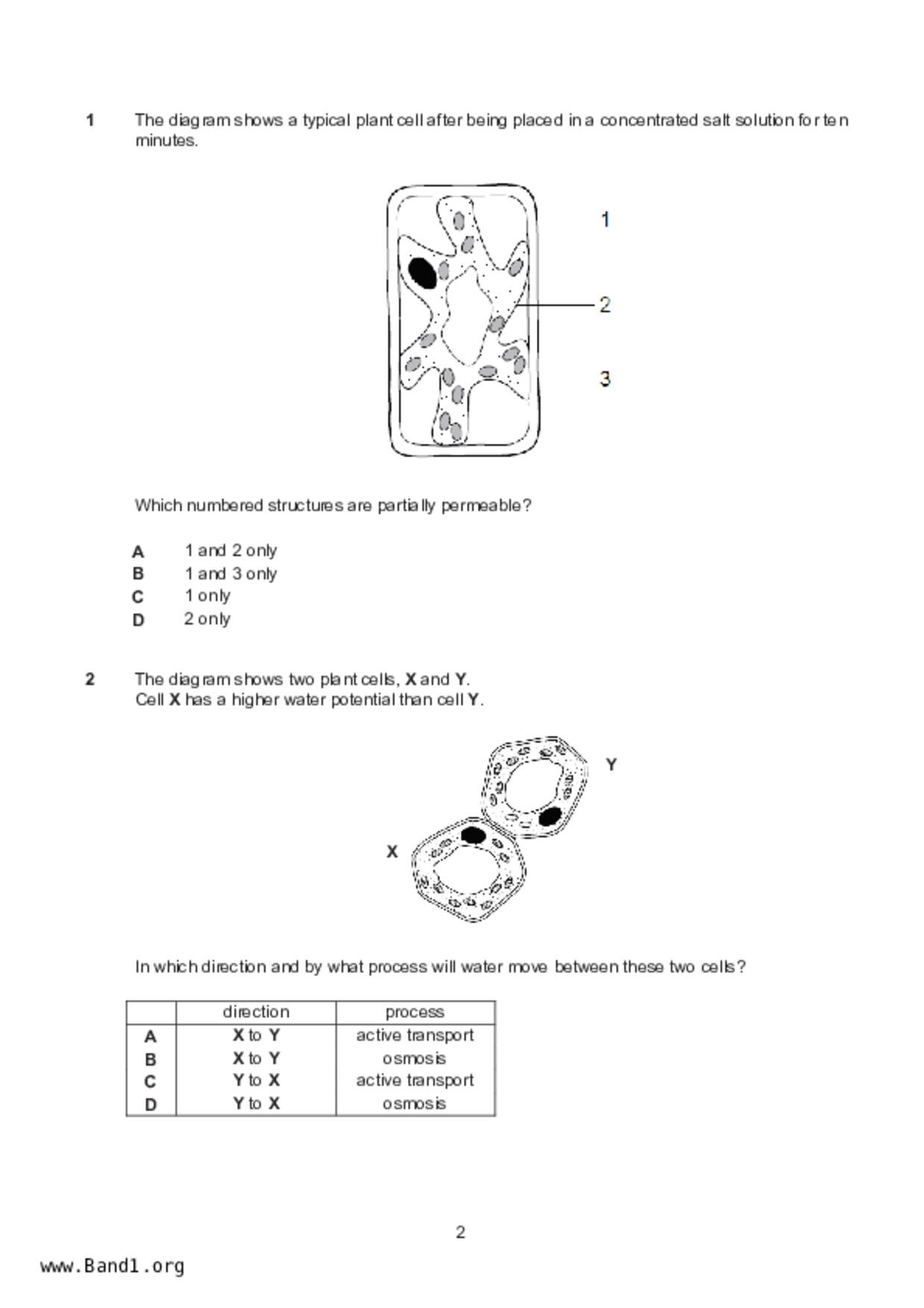 S5Pure Biology試卷
