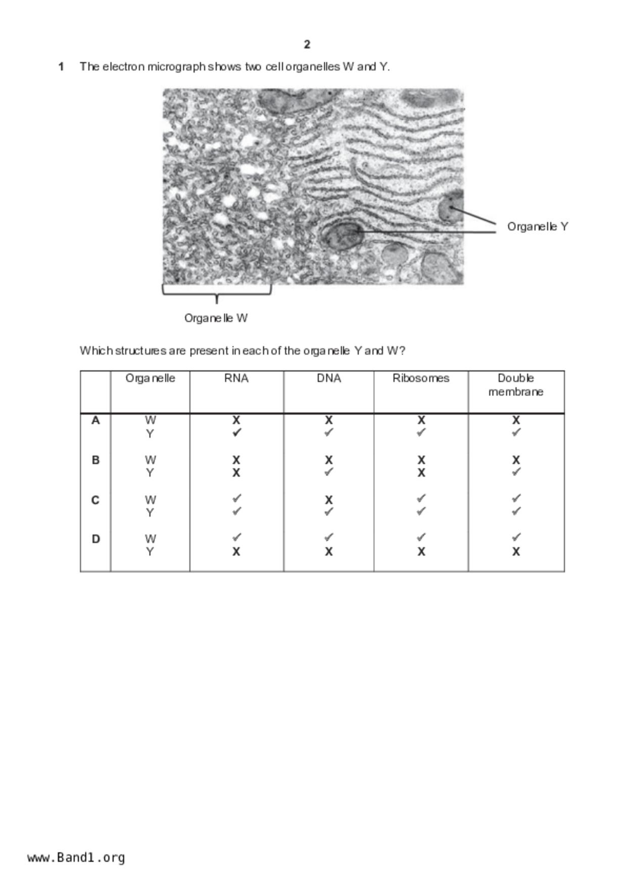 JC2Biology試卷