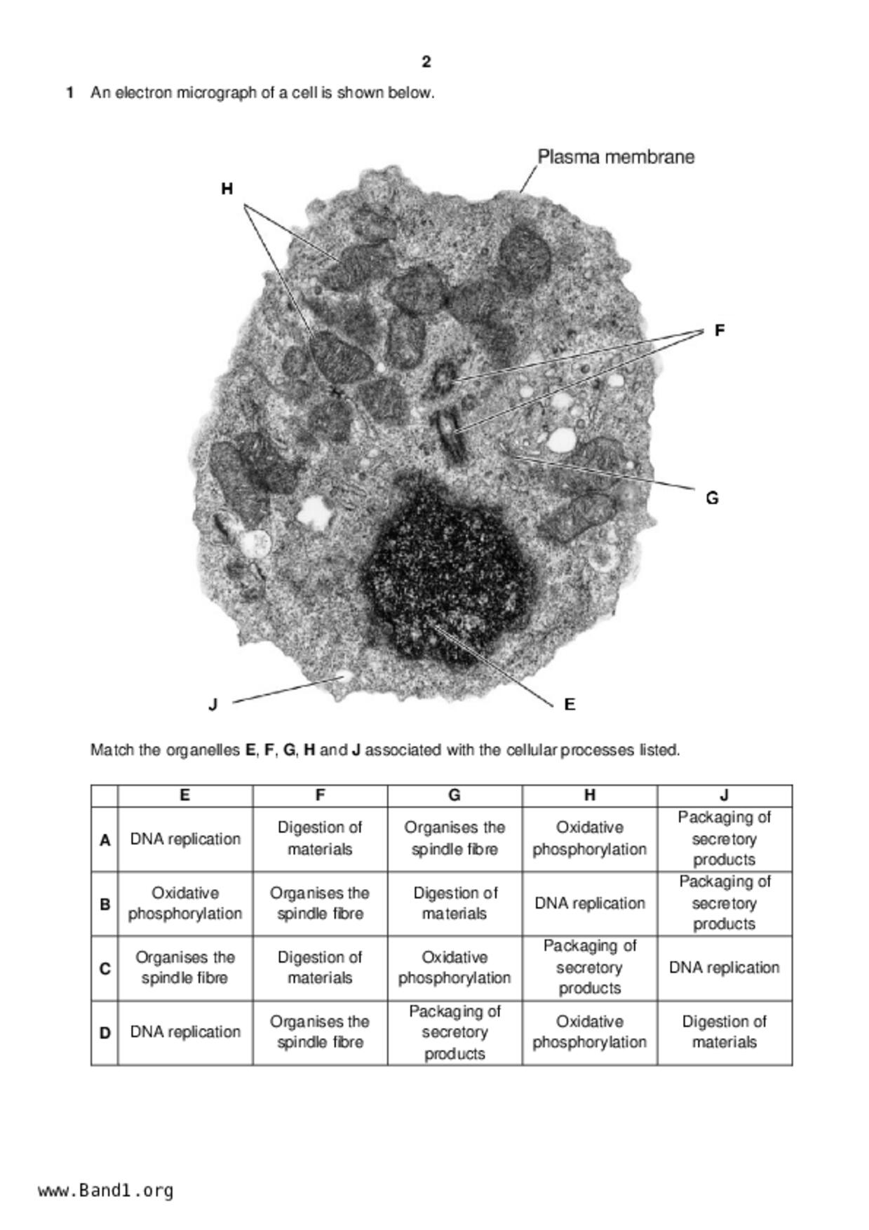 JC2Biology試卷