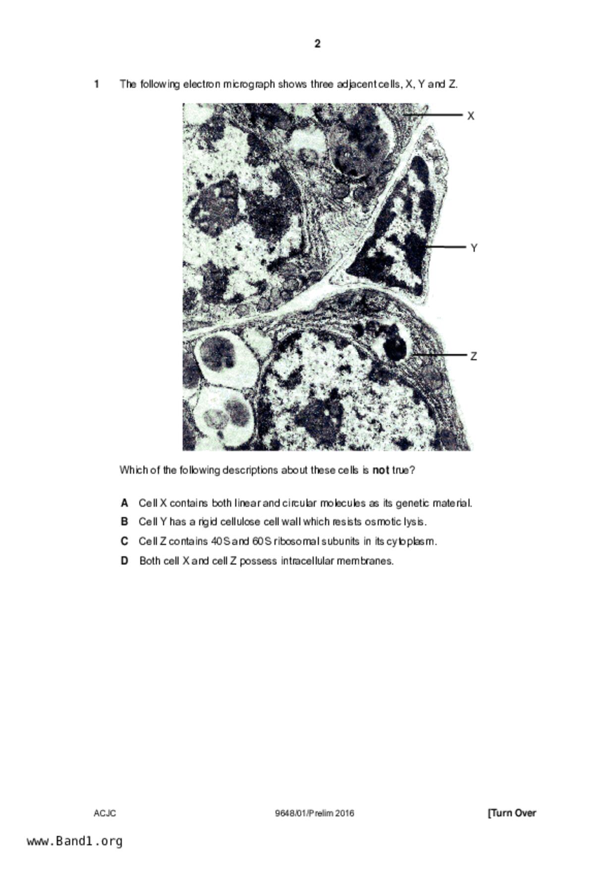 JC2Biology試卷