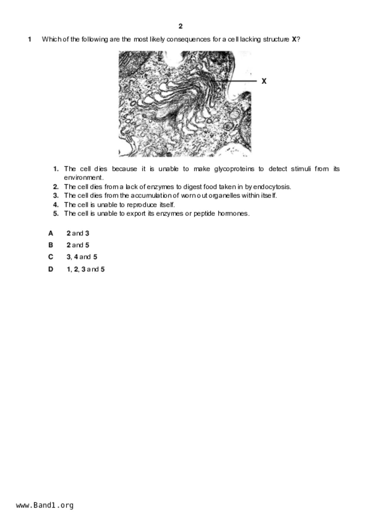 JC2Biology試卷
