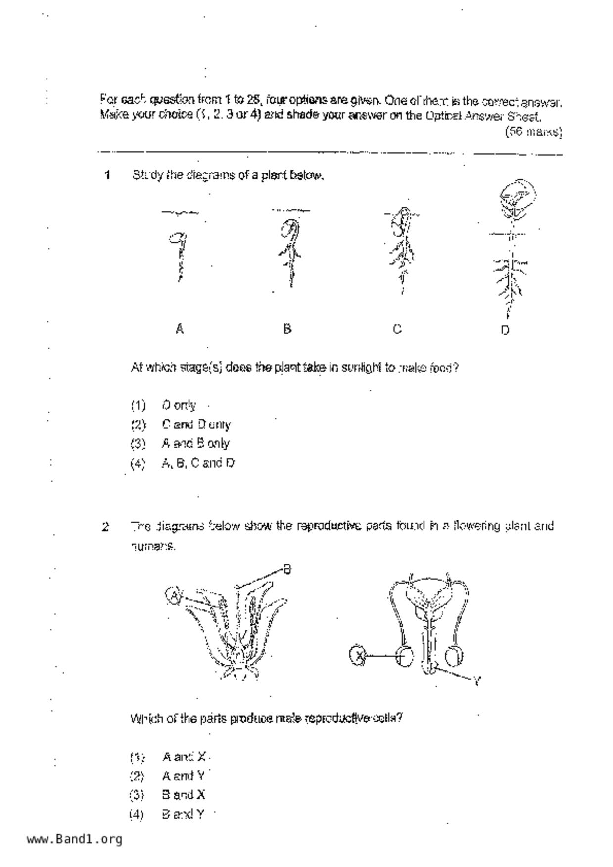 P6Science試卷