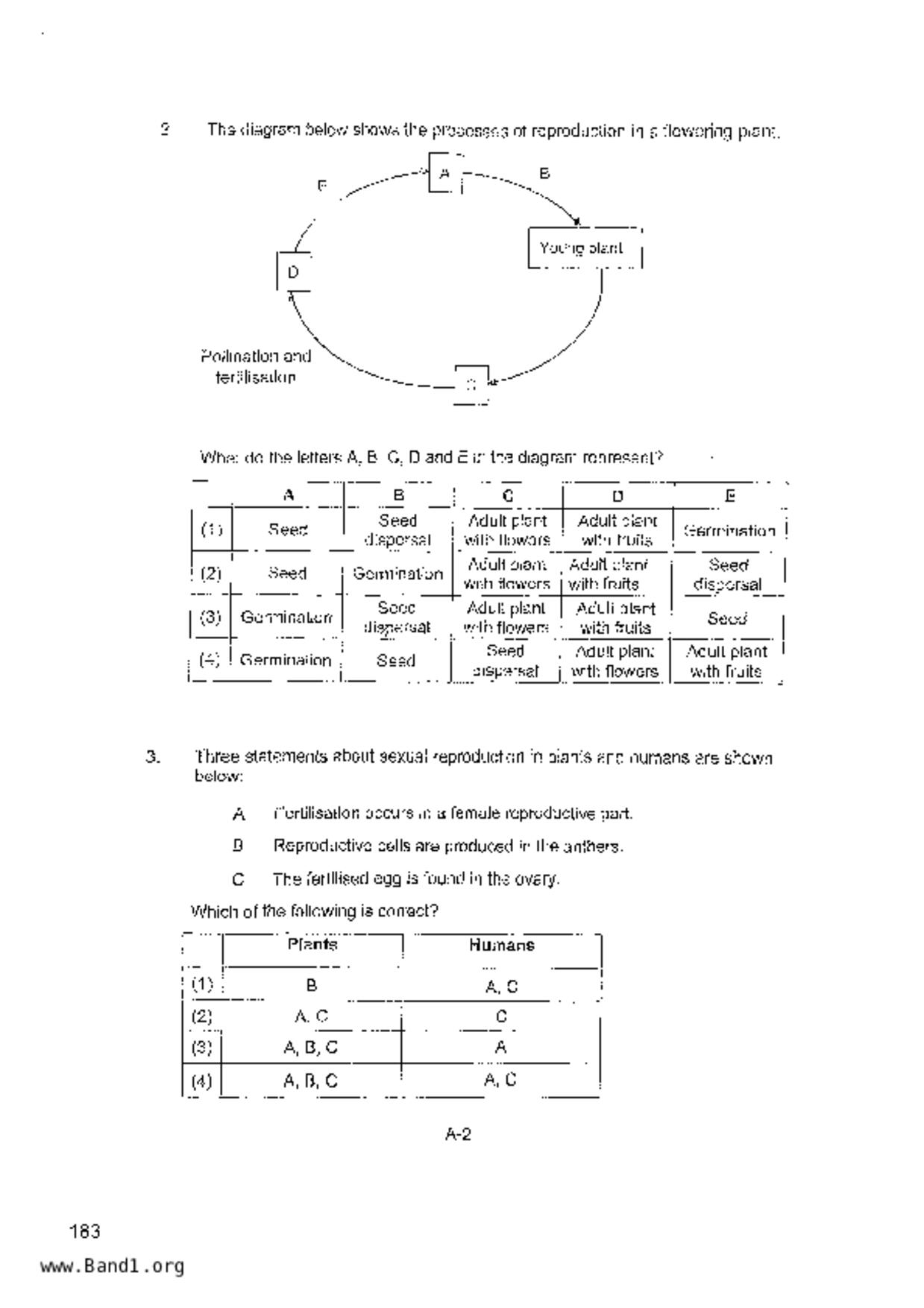 P6Science試卷