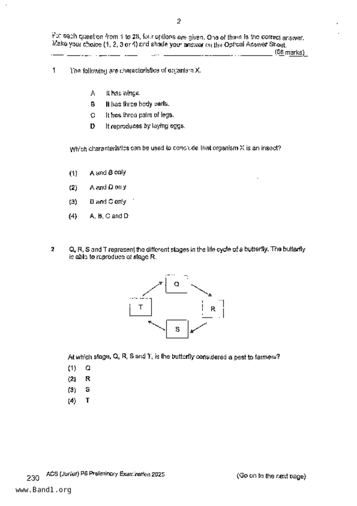 P6Science試卷