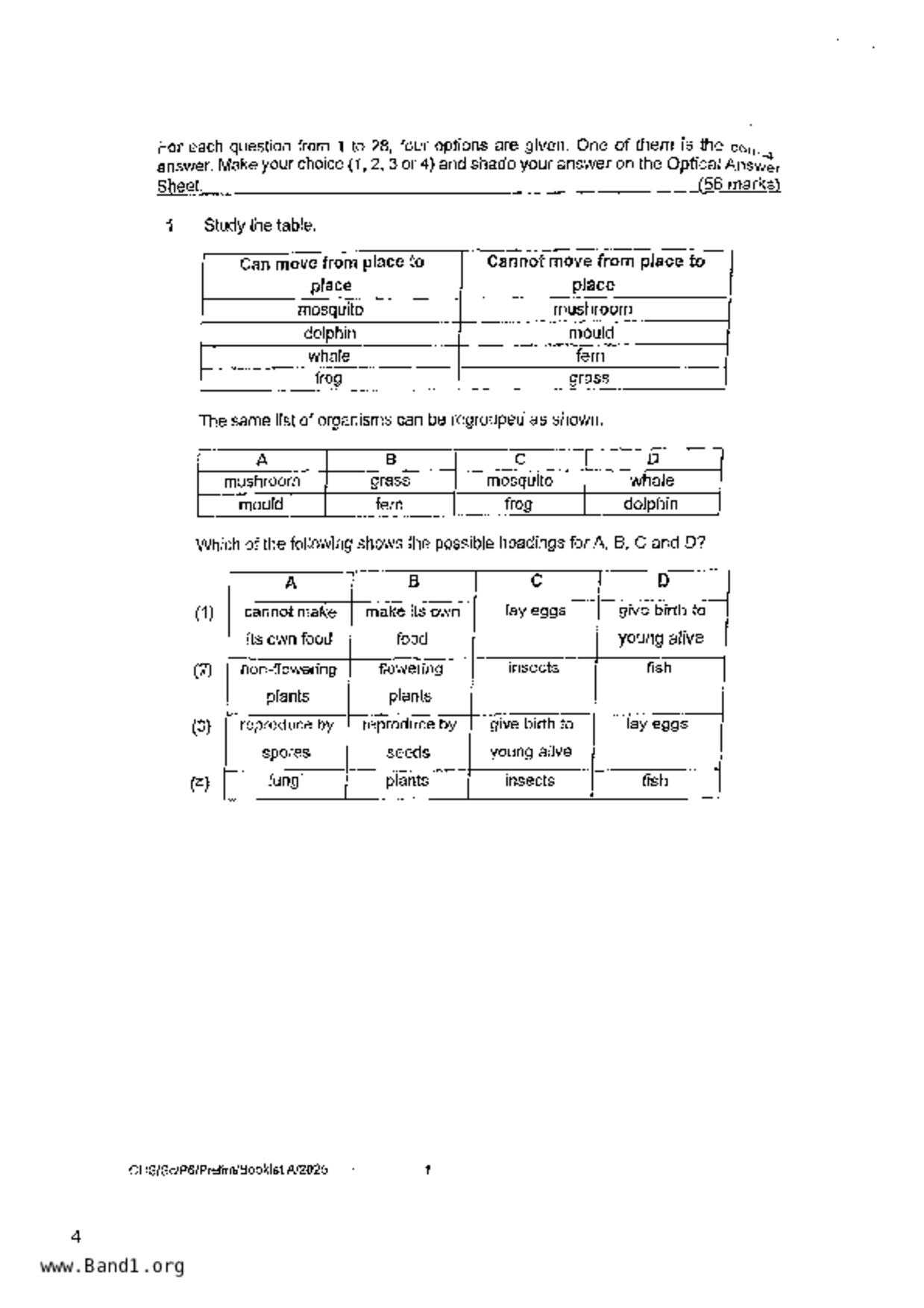 P6Science試卷