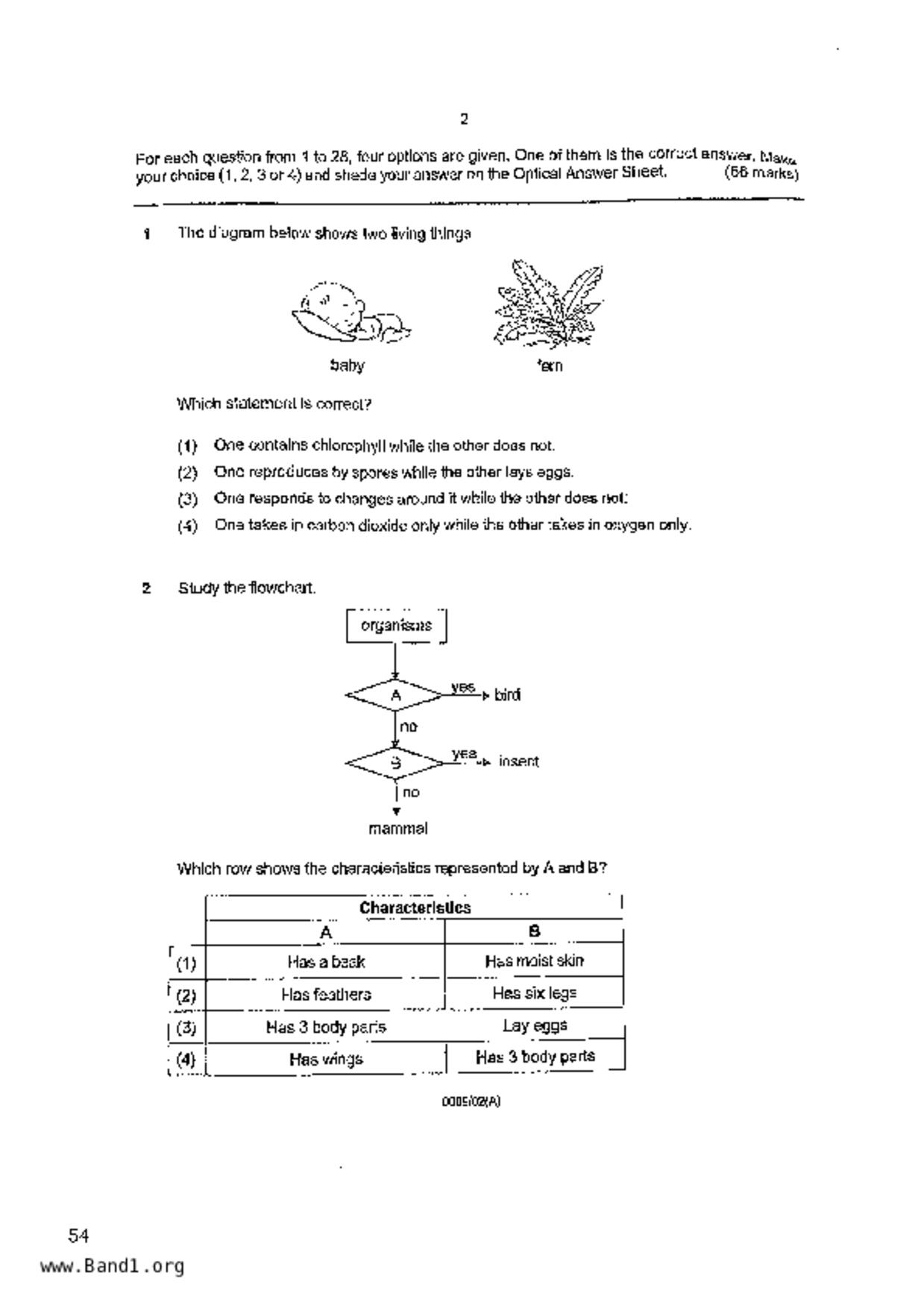 P6Science試卷