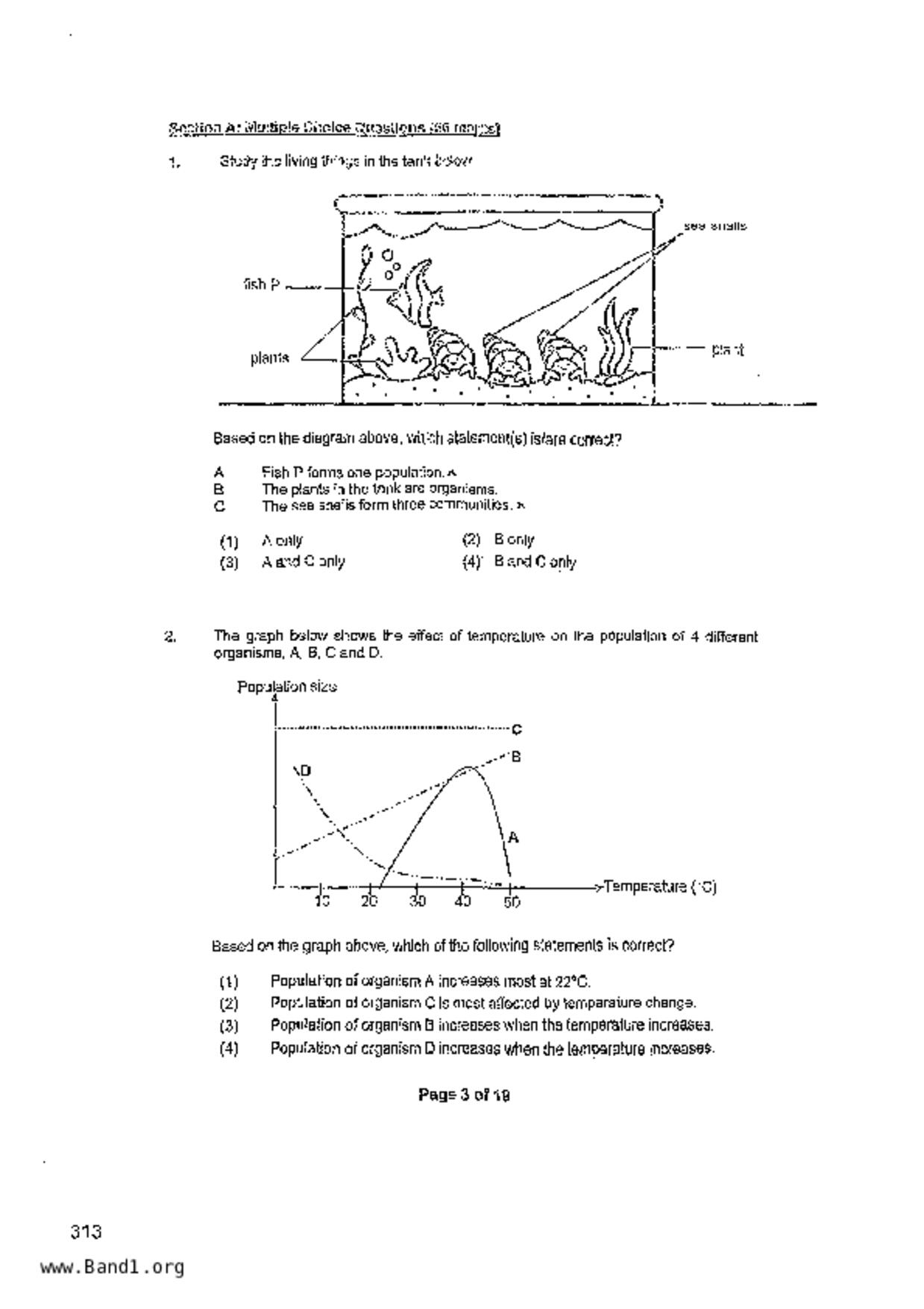 P6Science試卷