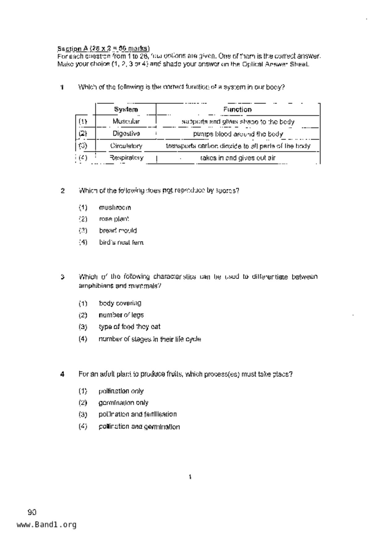 P6Science試卷