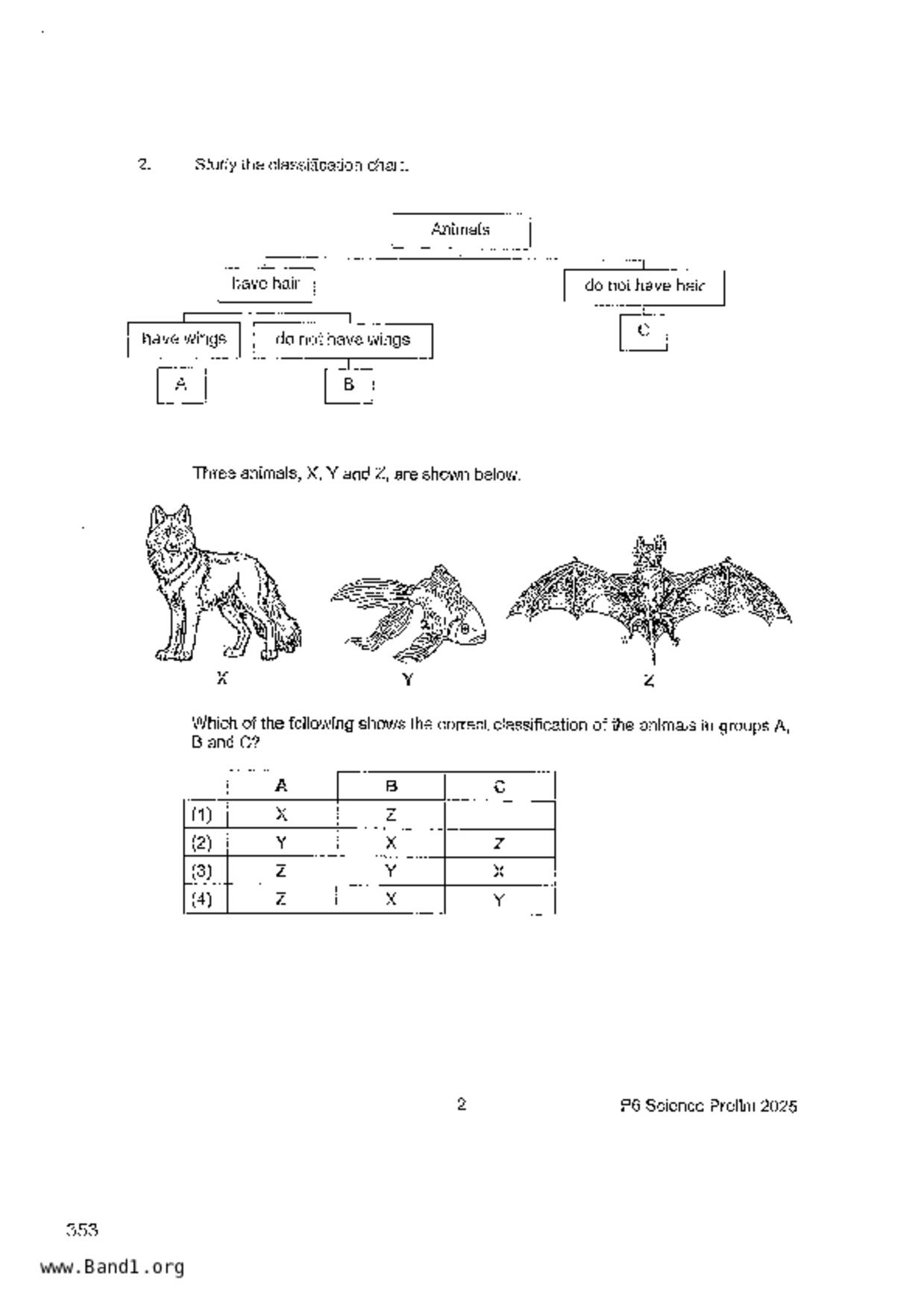P6Science試卷