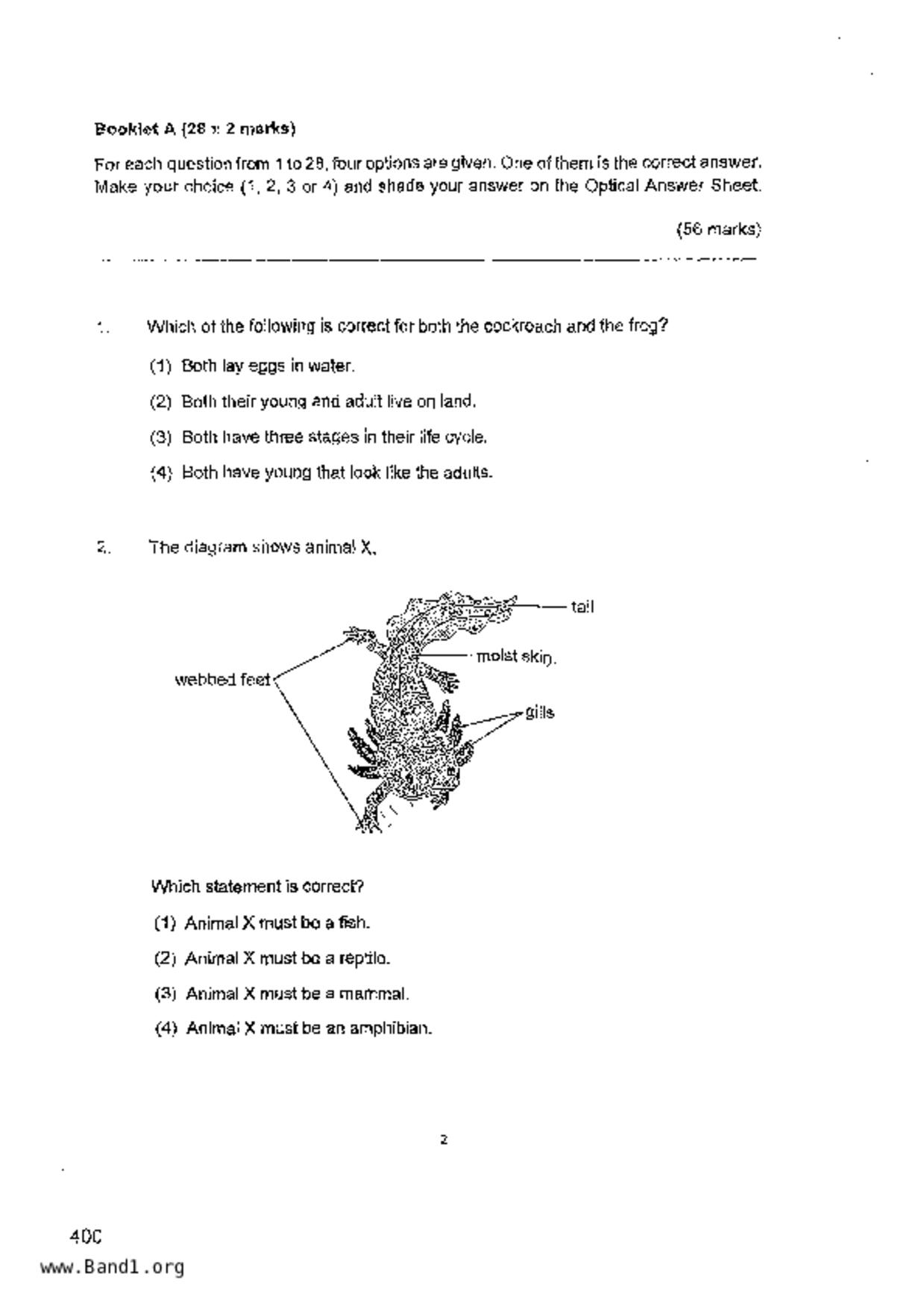 P6Science試卷