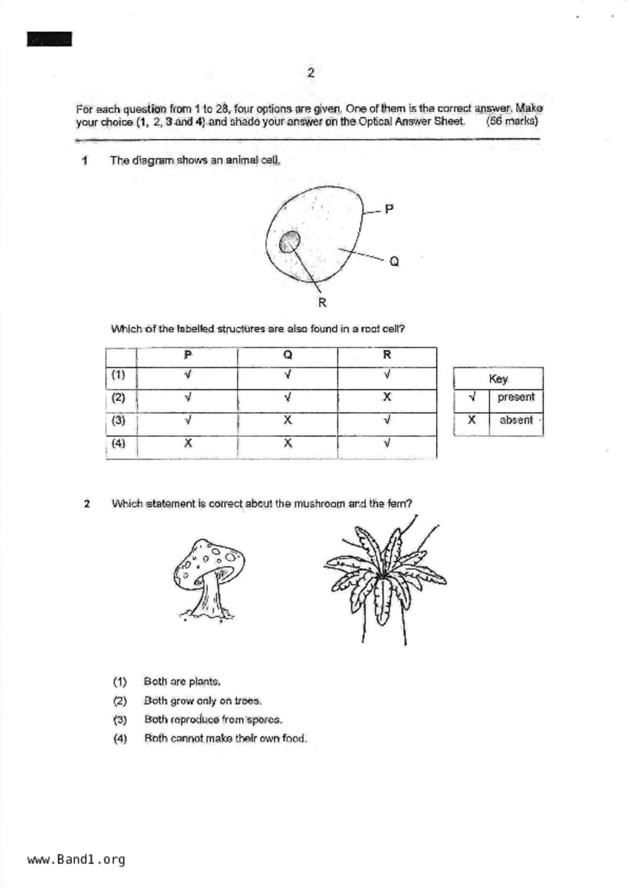 P6Science試卷