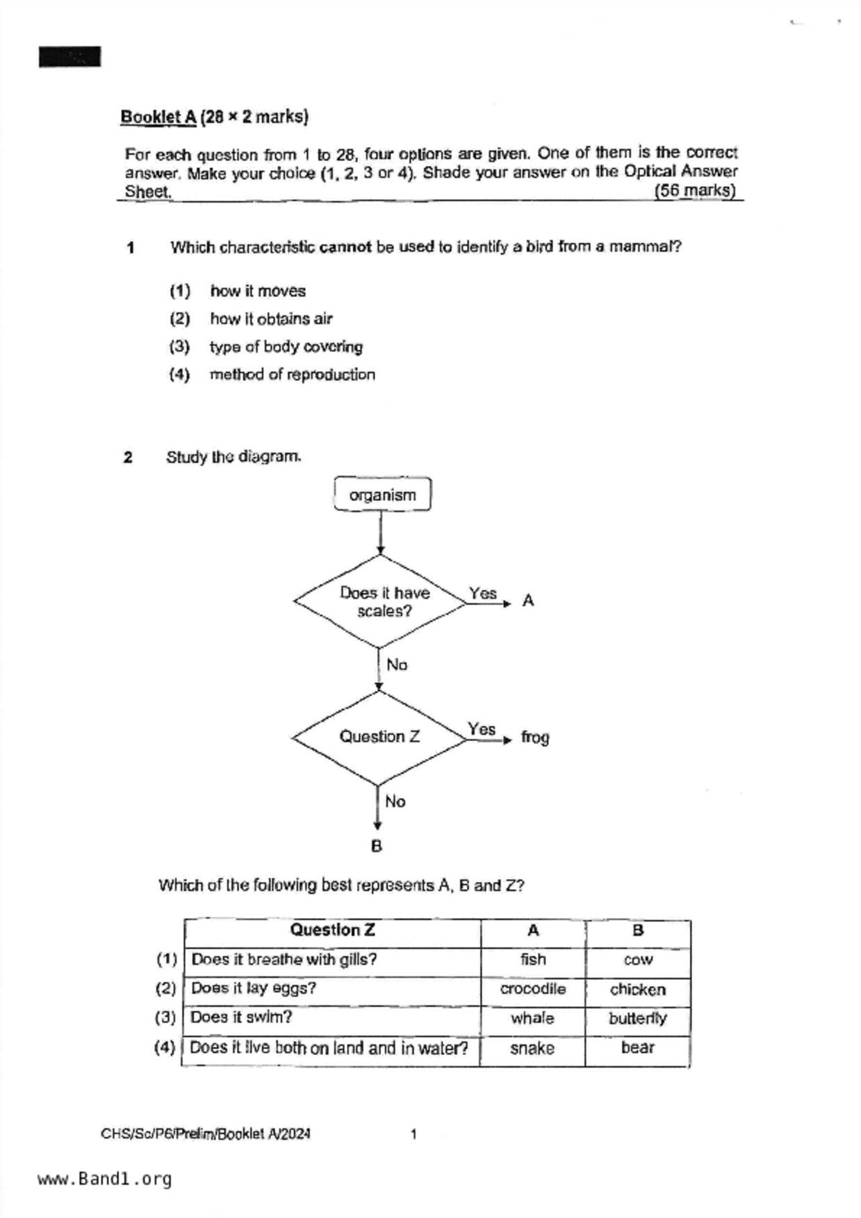 P6Science試卷
