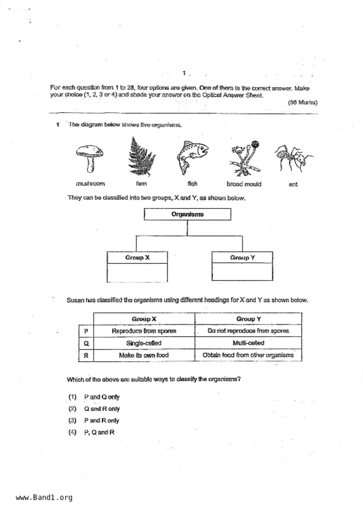 P6Science試卷