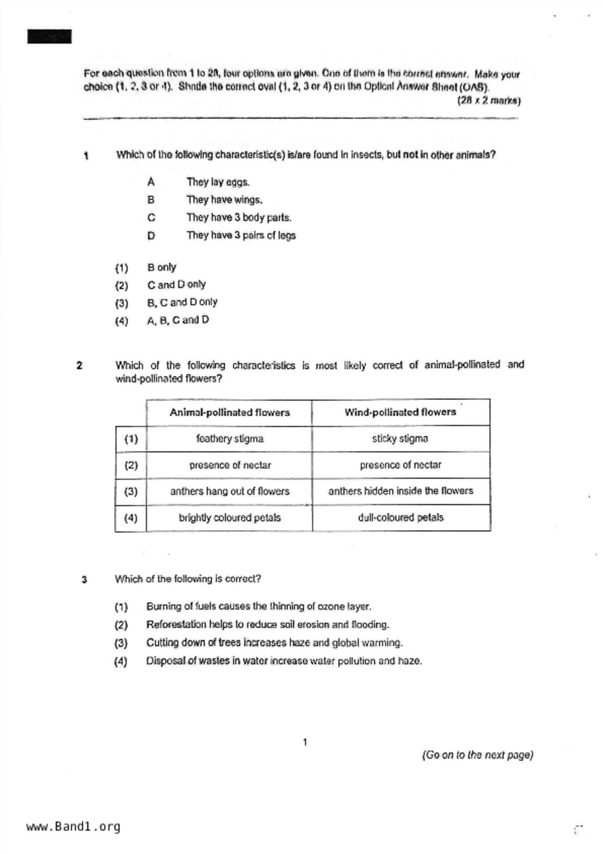 P6Science試卷