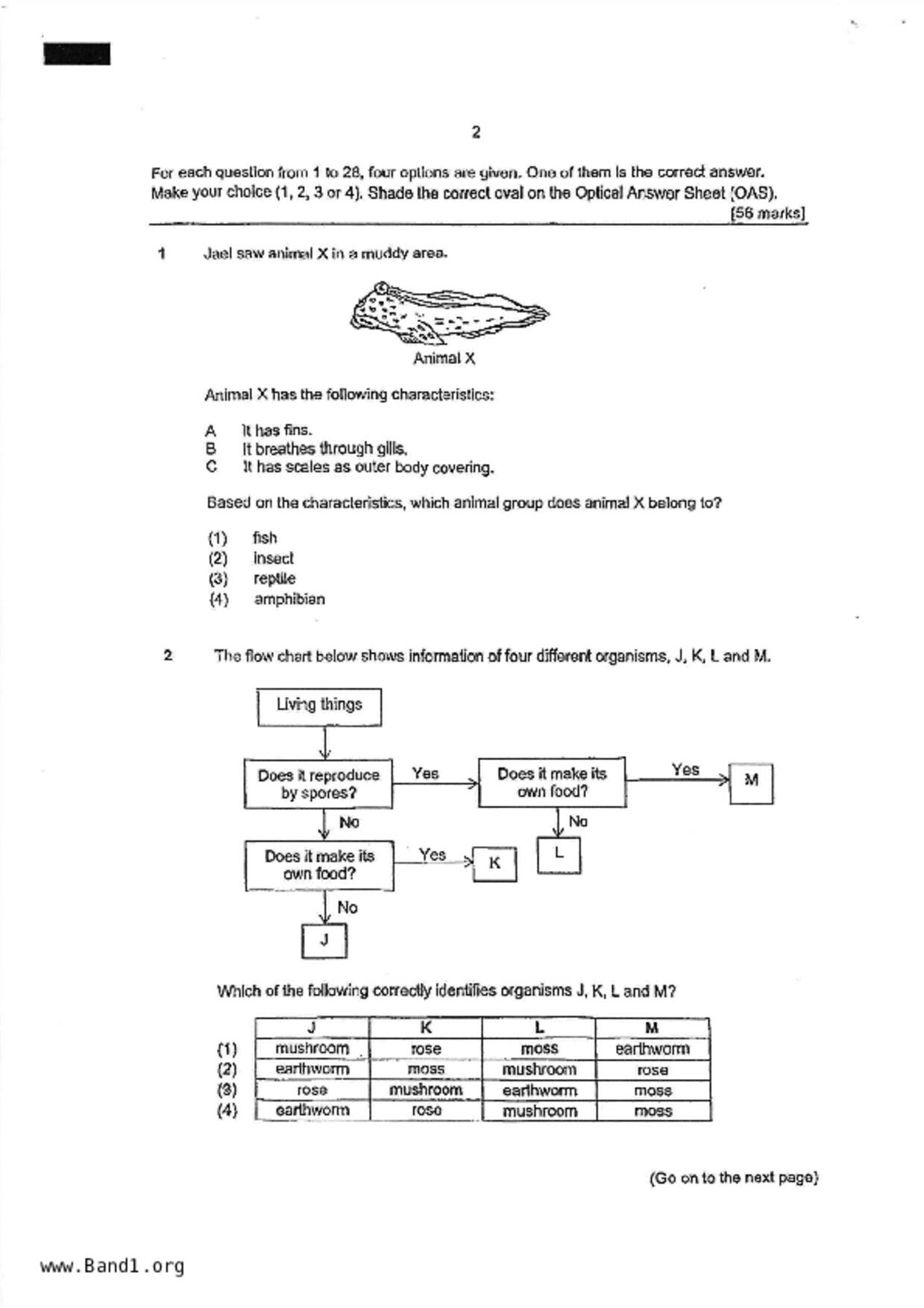 P6Science試卷