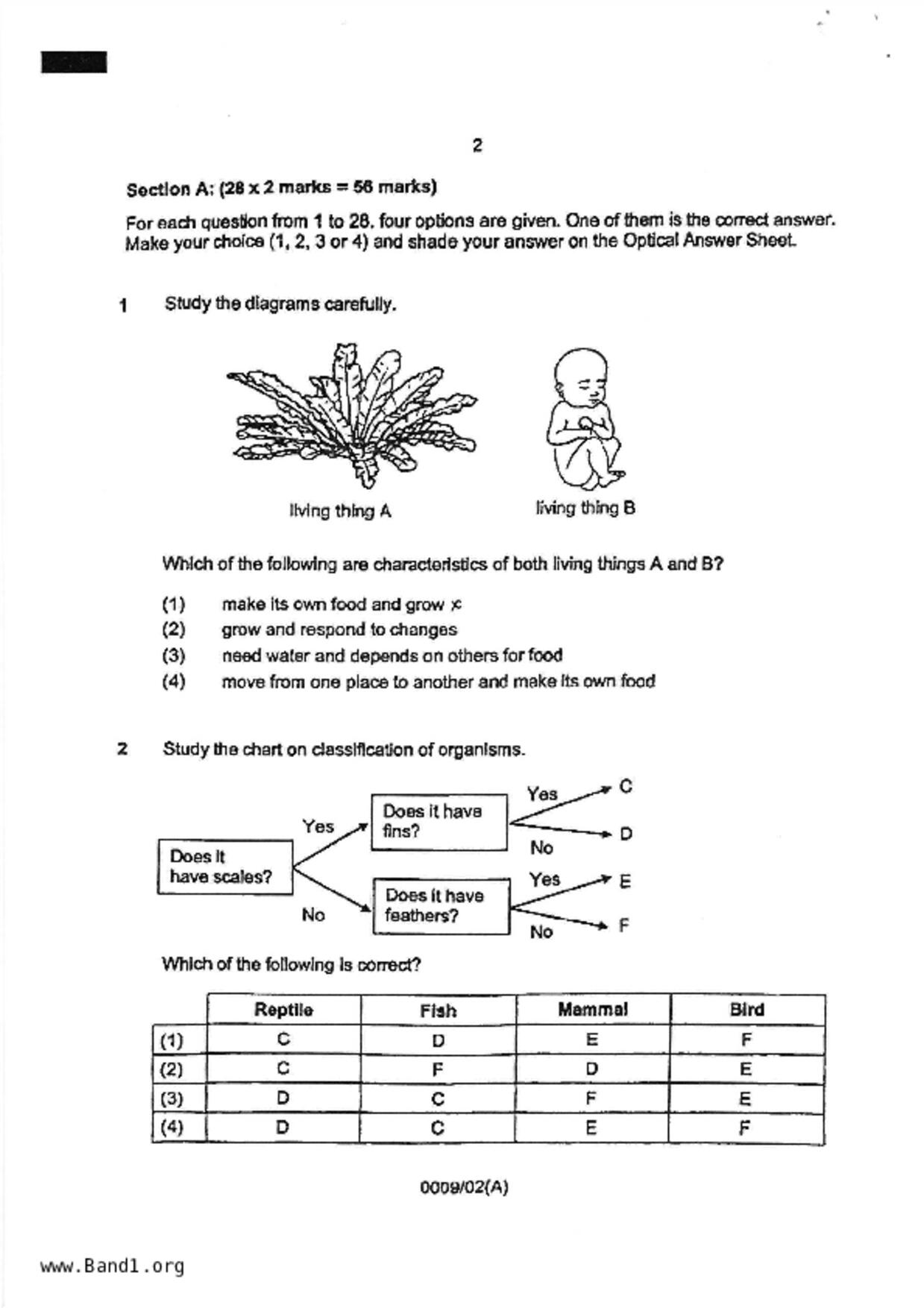 P6Science試卷