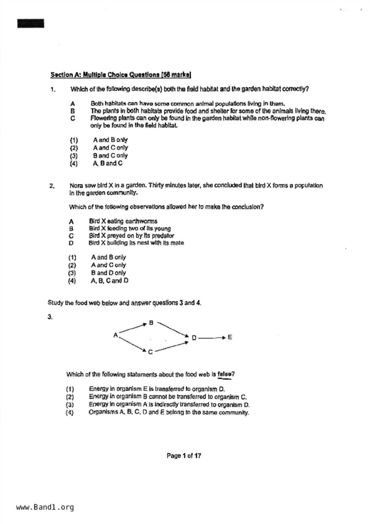 P6Science試卷